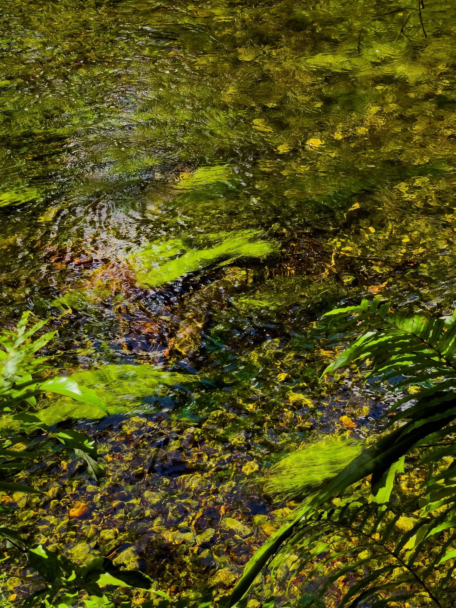Image 4 of 12