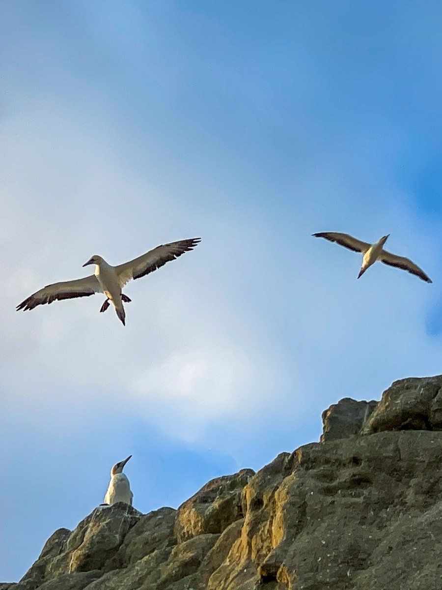 Image 6 of 8