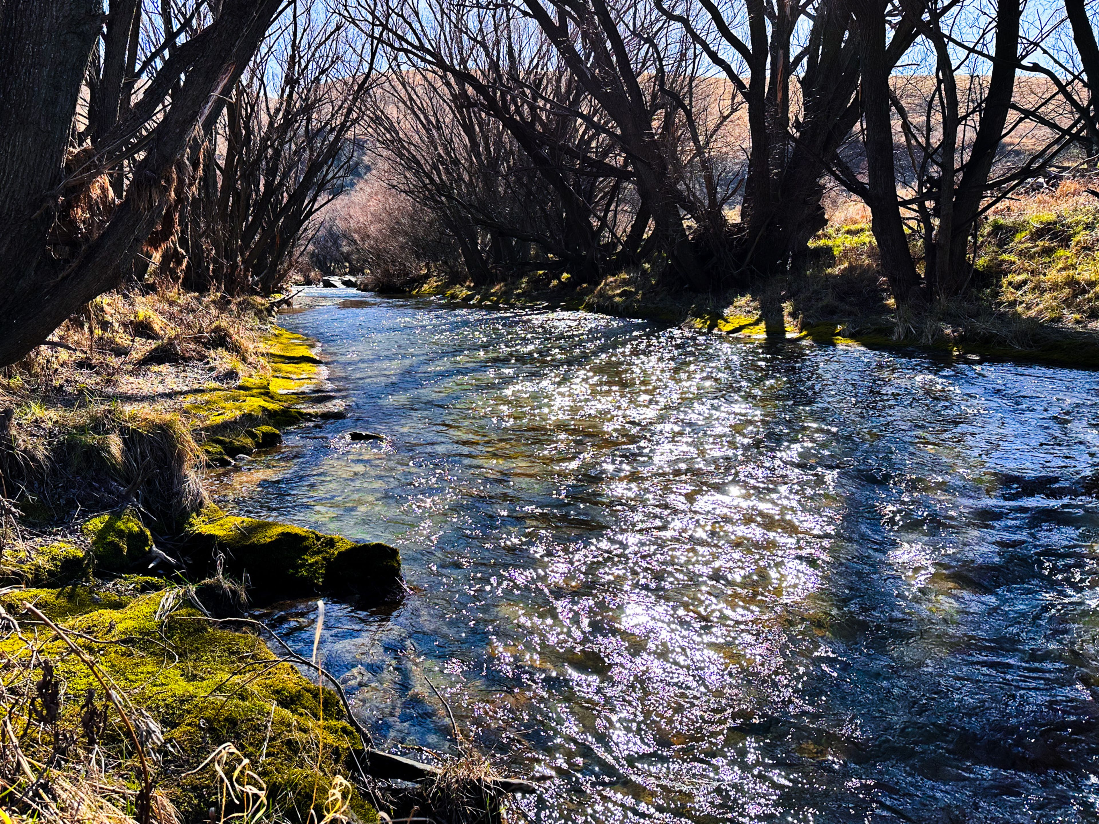 Image 7 of 10