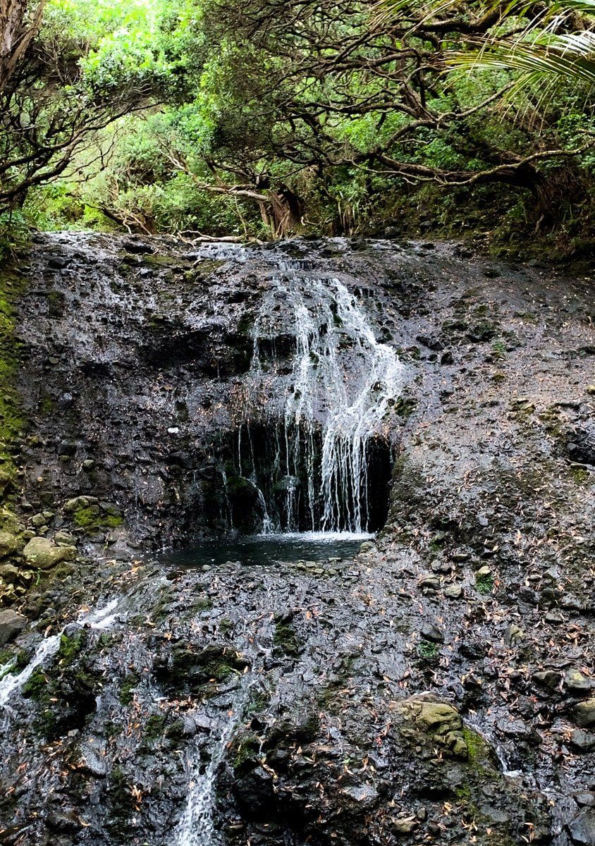 Image 3 of 4