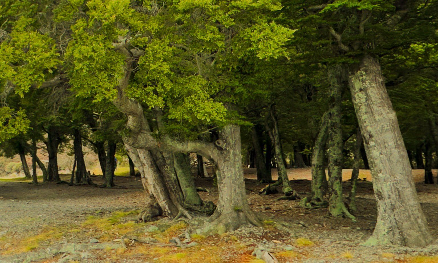Image 9 of 9
