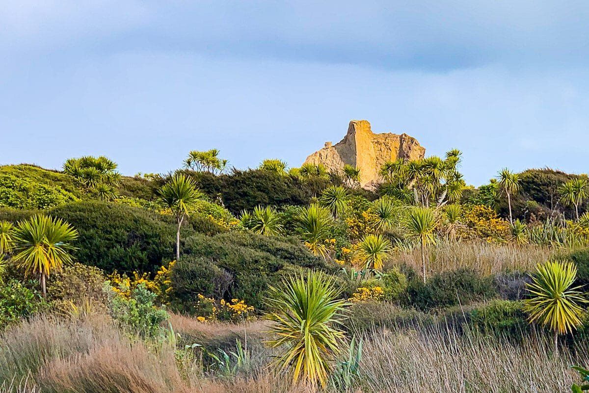 Waitakere Walking Tracks, part 1