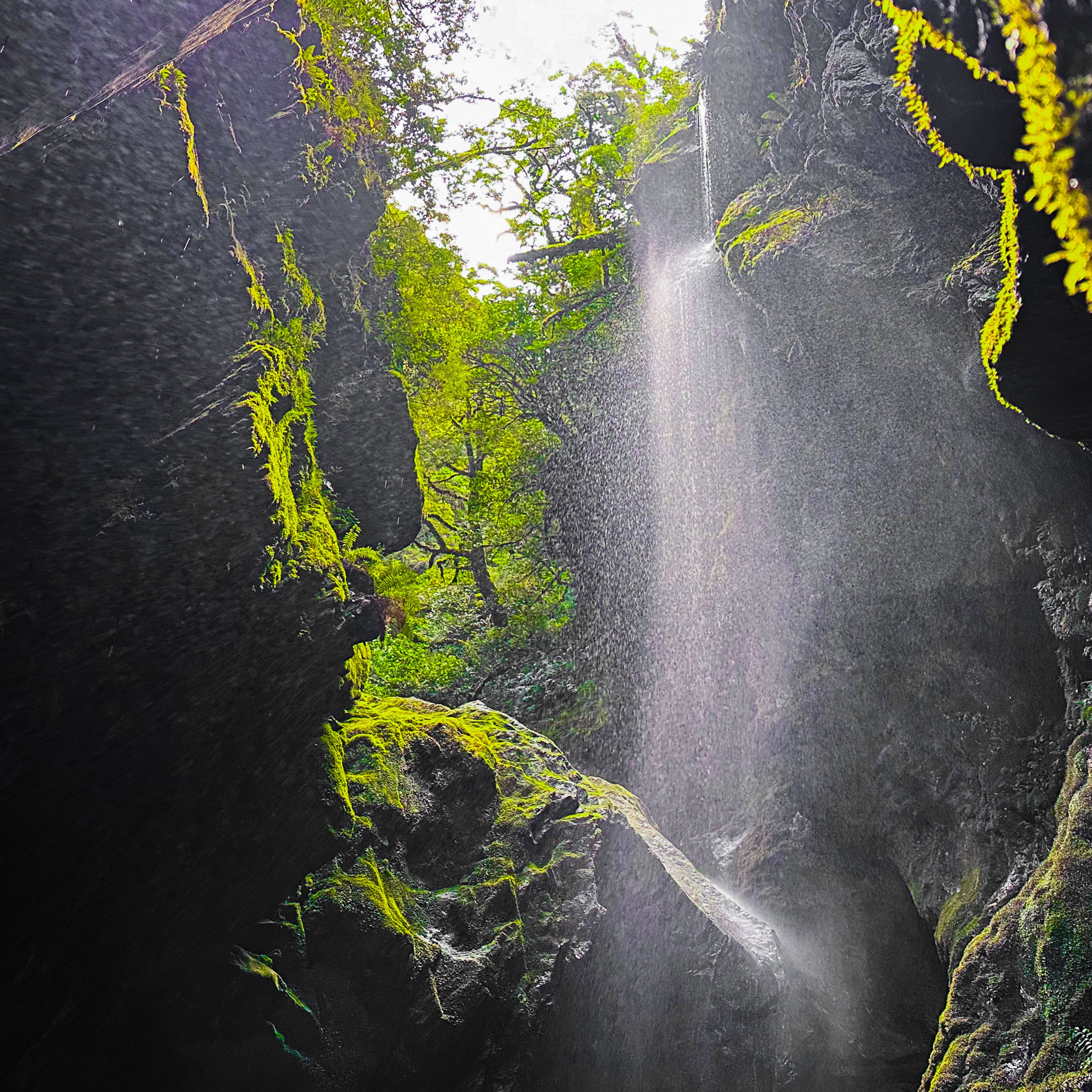 Image 8 of 10