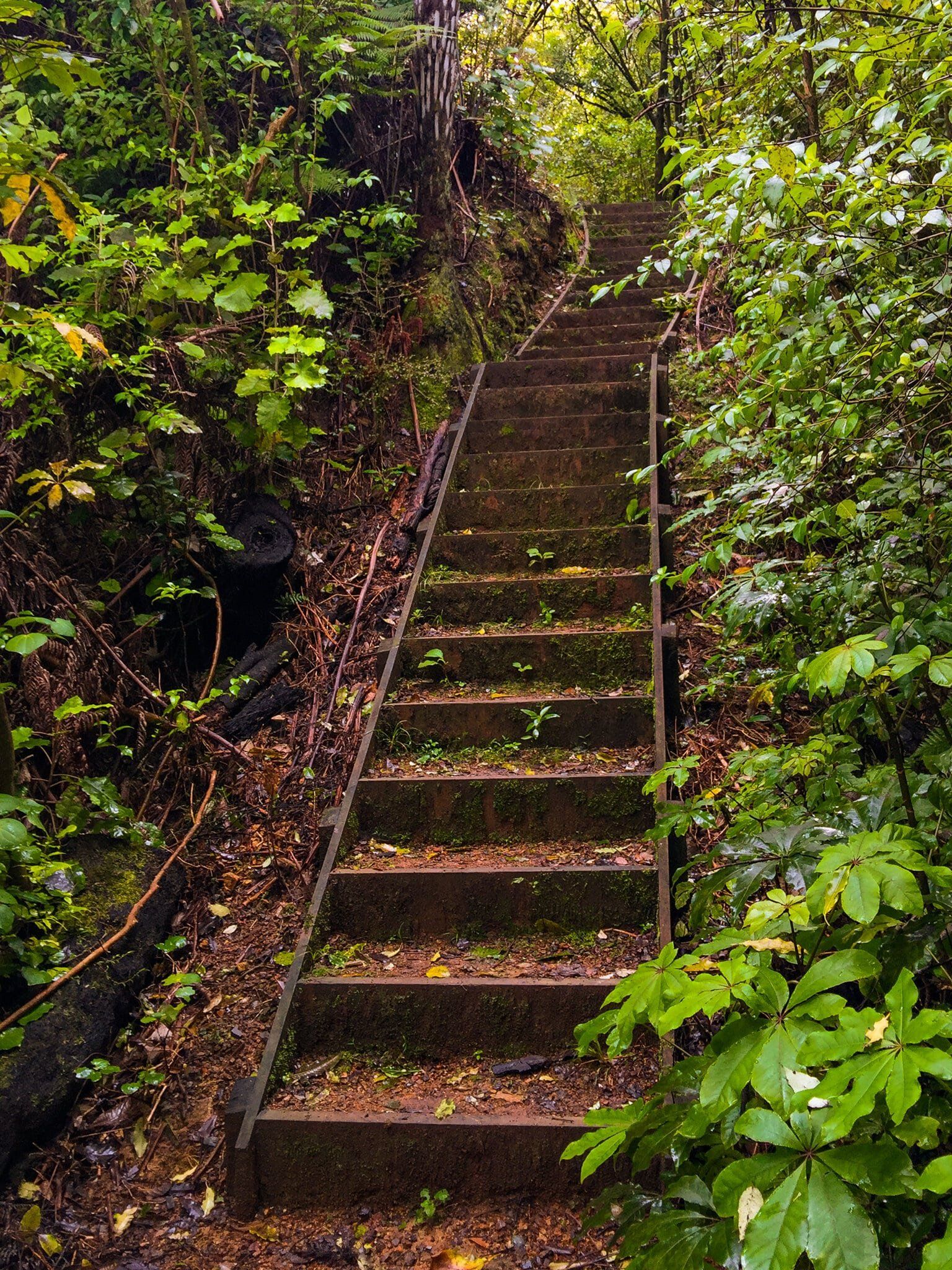 Image 8 of 8