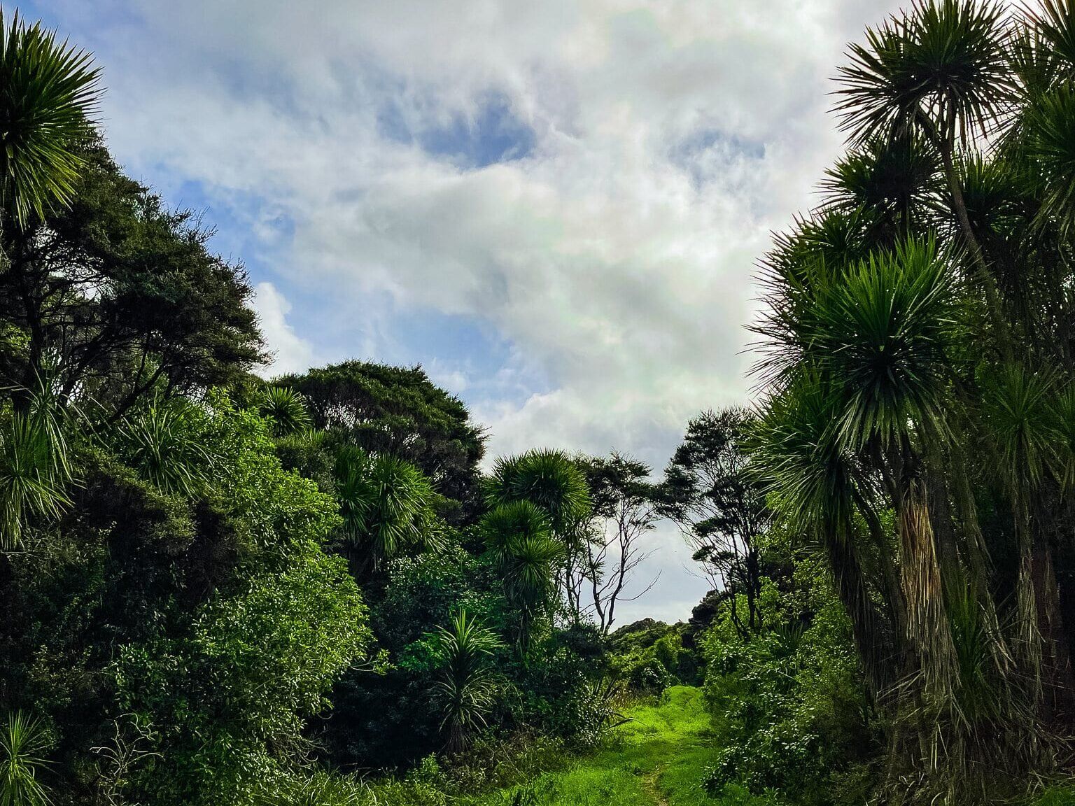 Ecology Trail – Coast