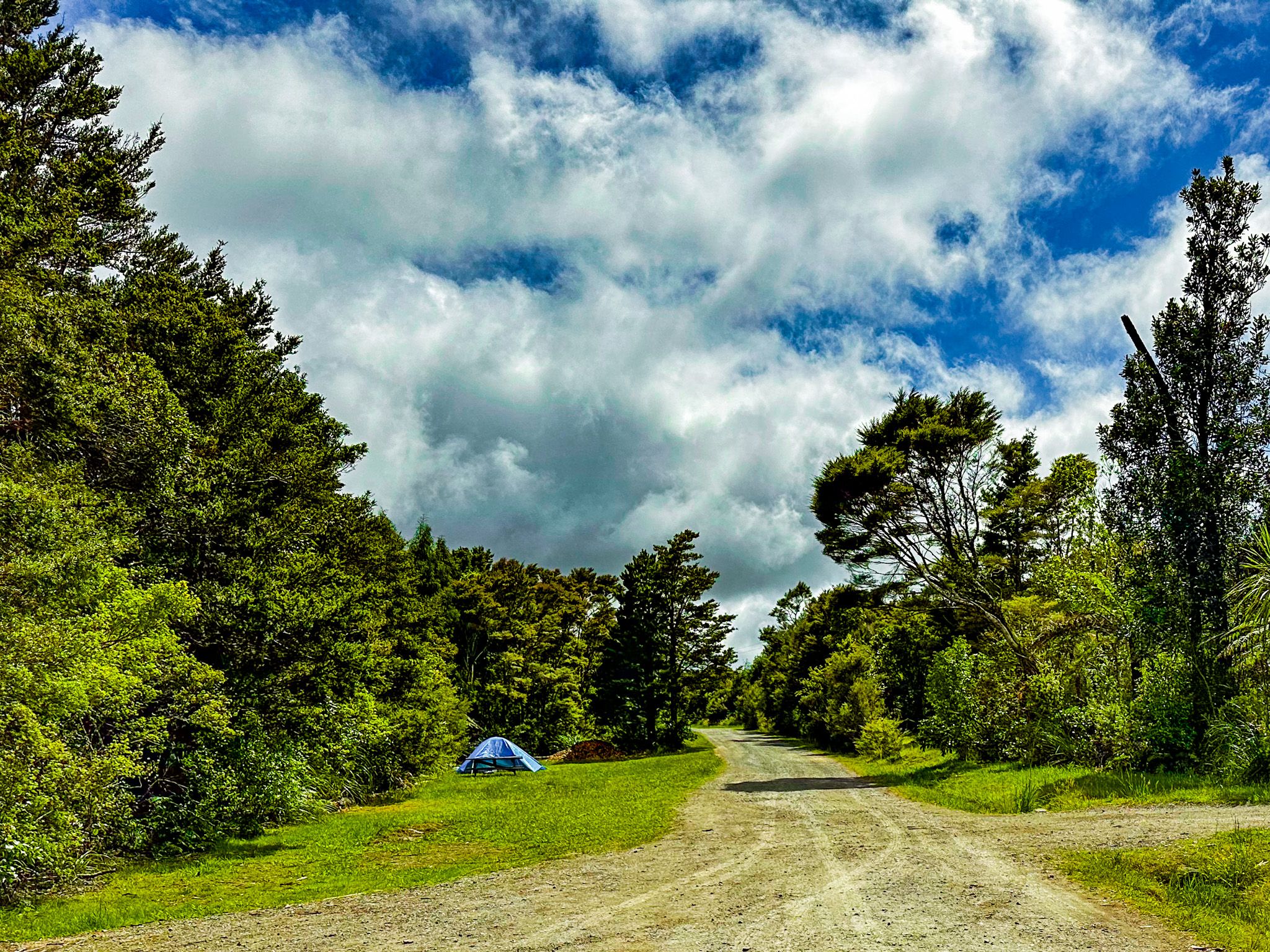 DOC camp site at Puketi Forest