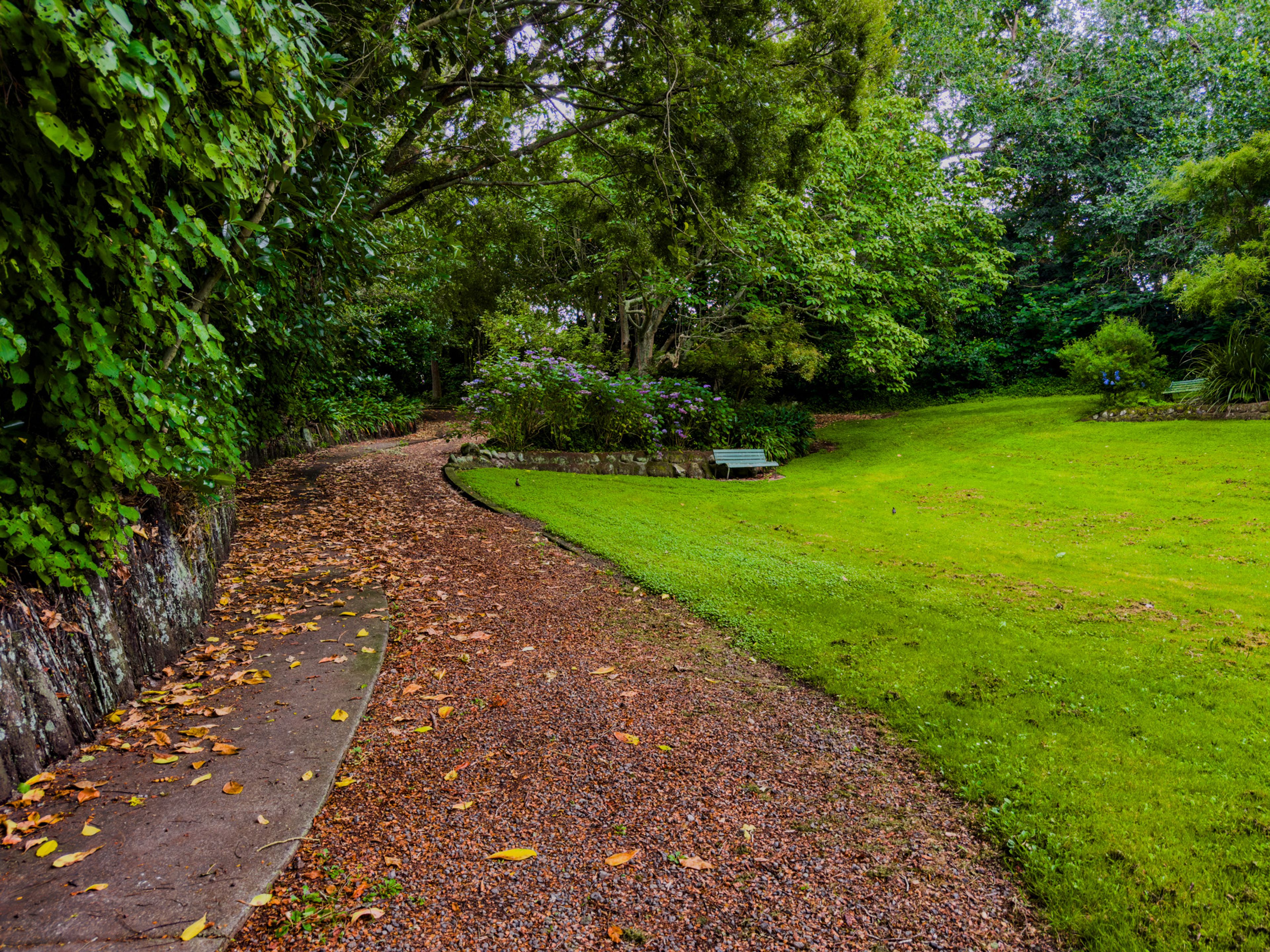Image 7 of 10