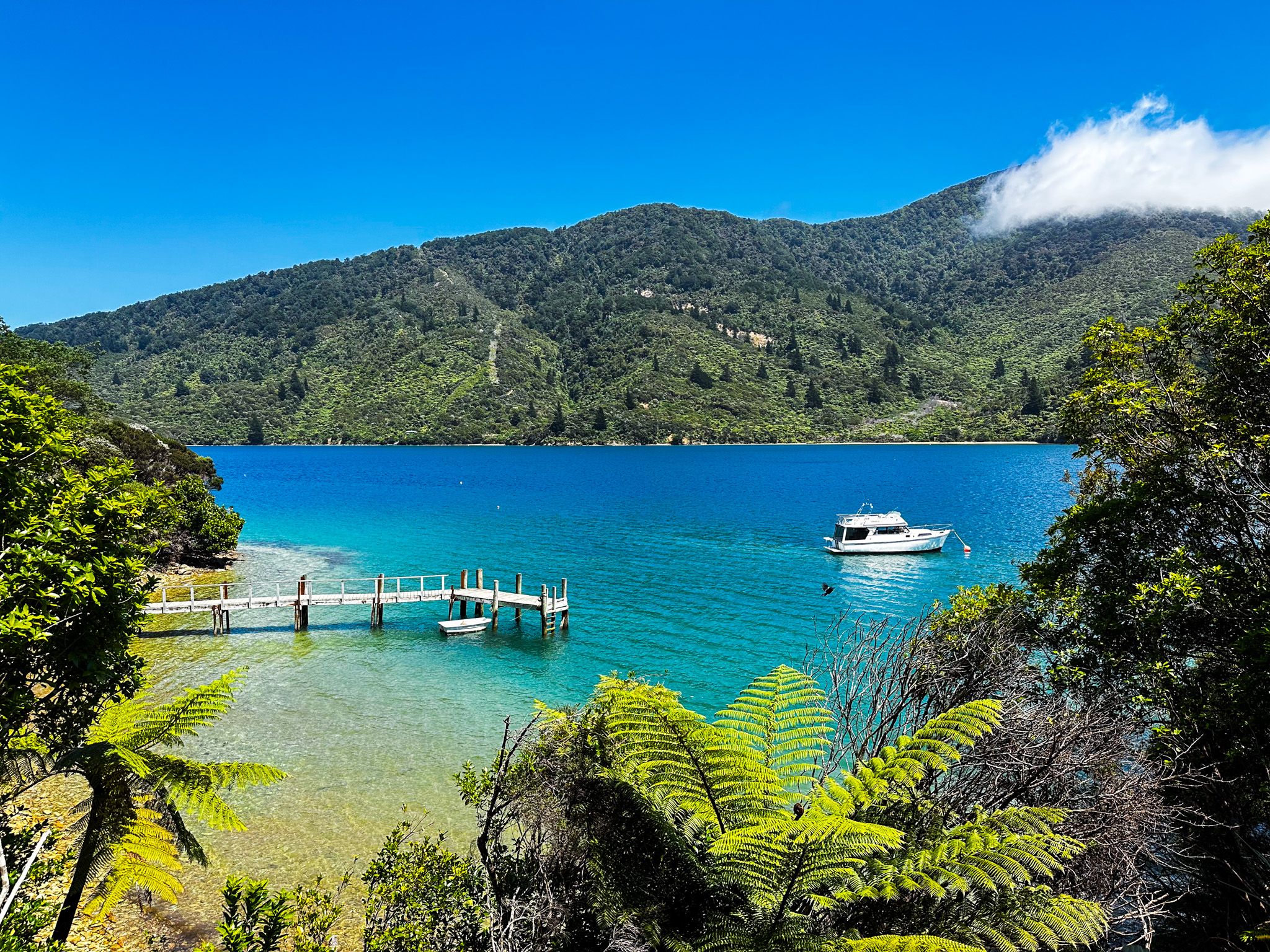 oen of the may private jetties at The Pines in Endeavour Inlet