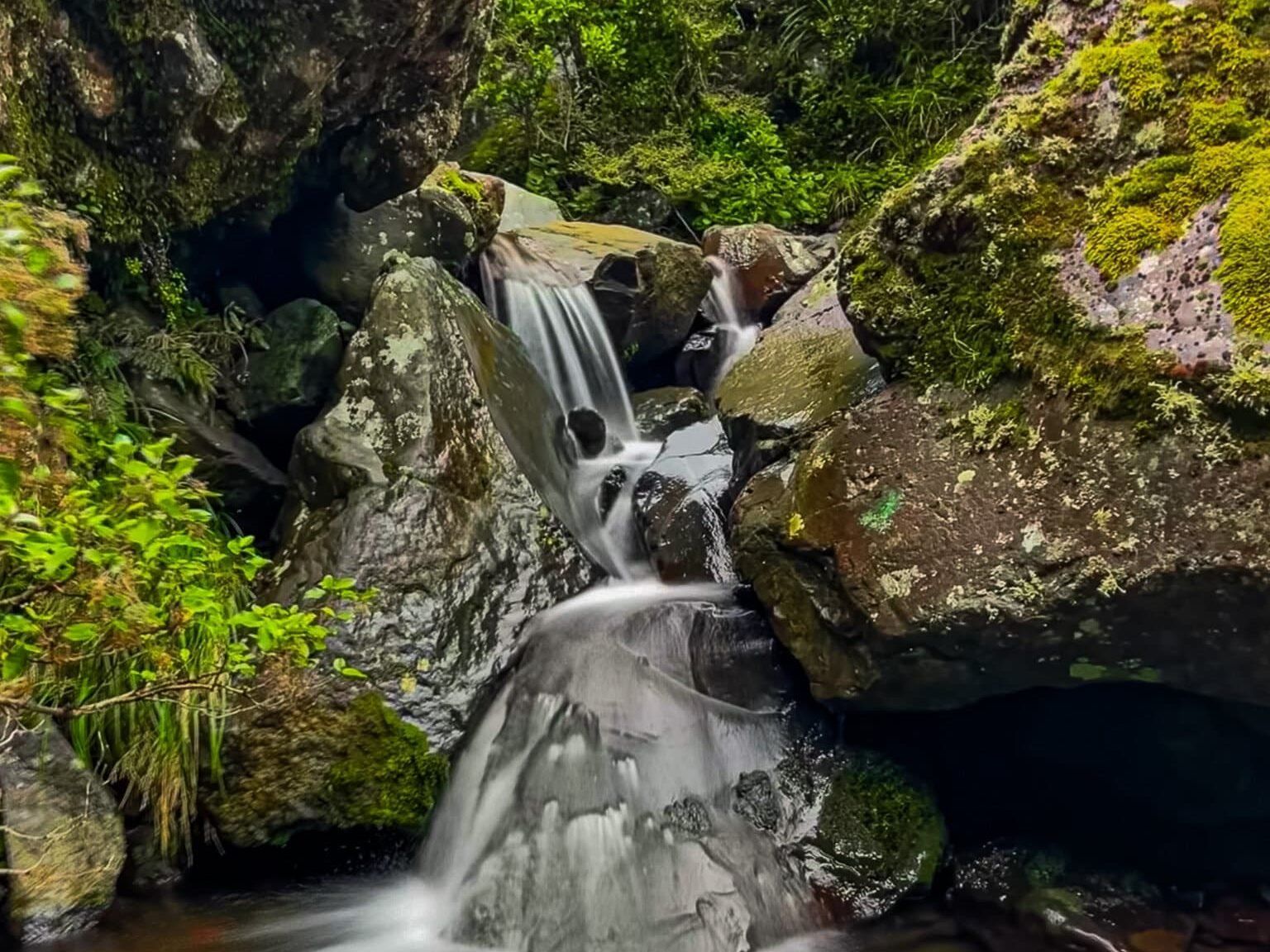 Waitonga Falls