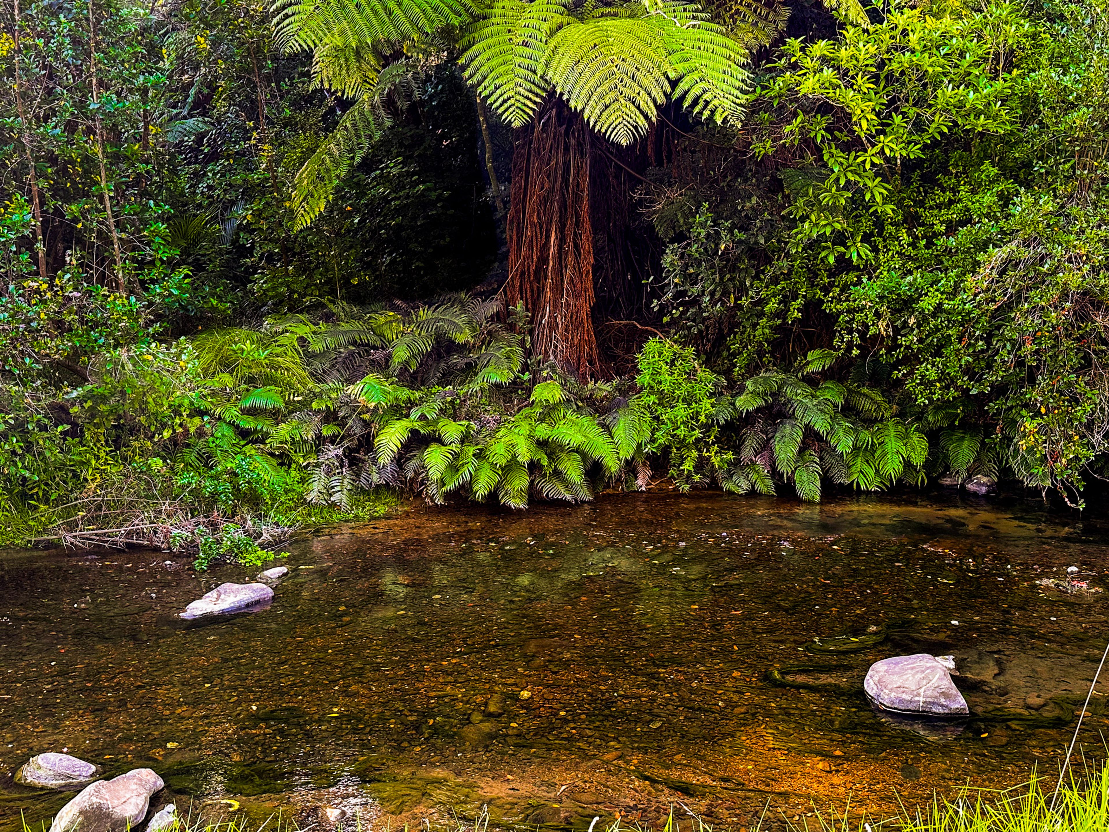 Image 8 of 10