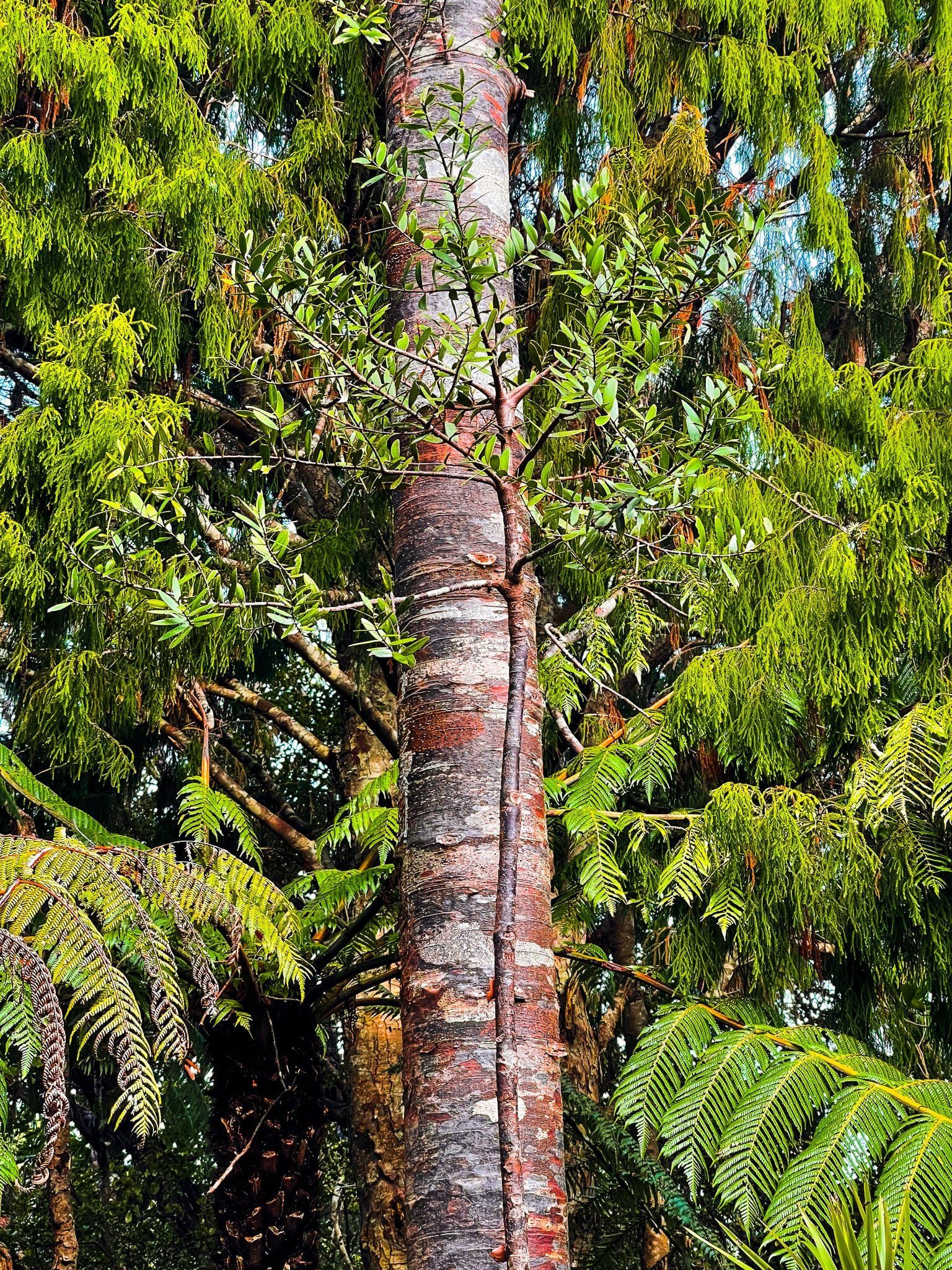 Image 8 of 10