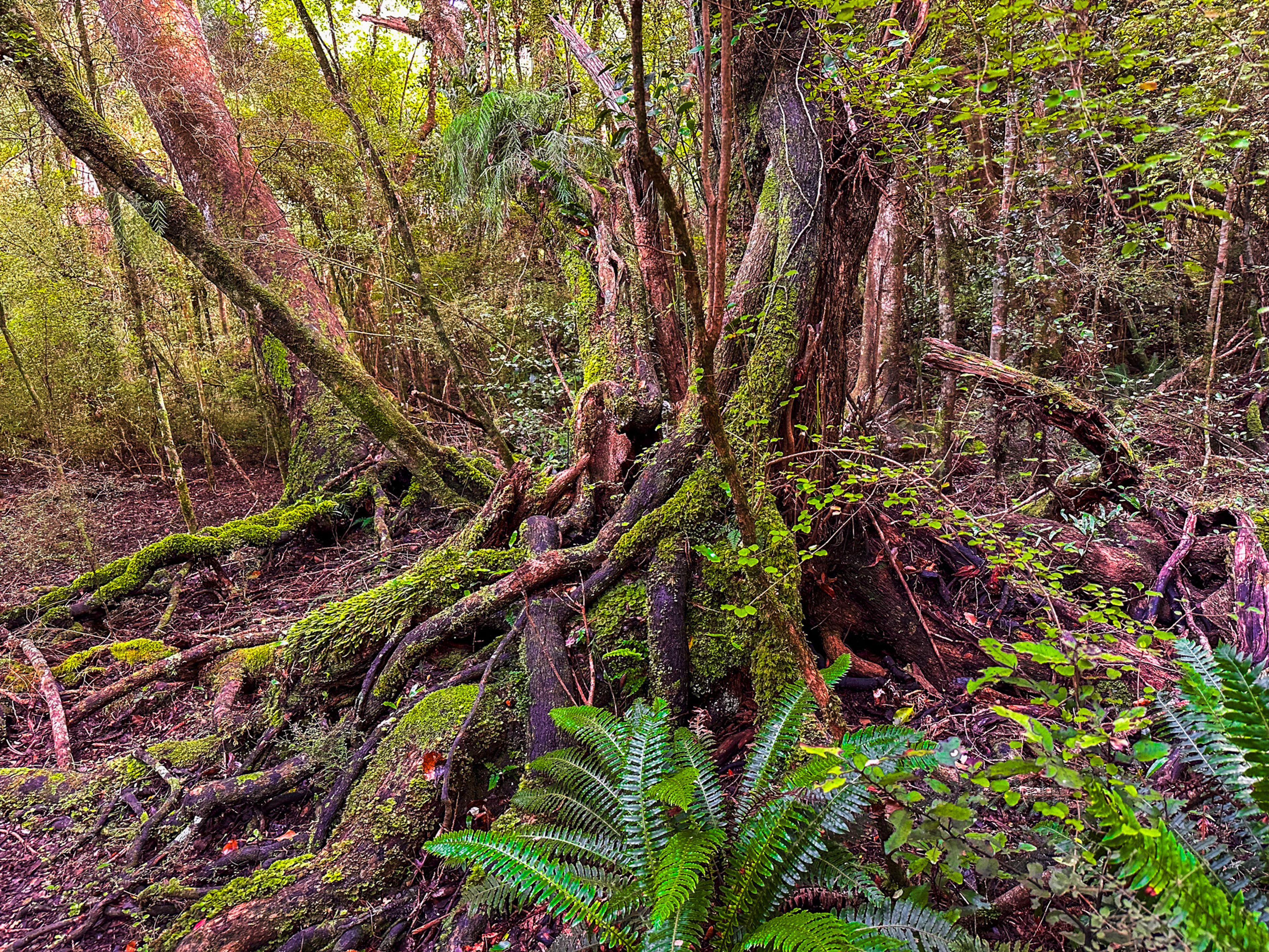 Image 8 of 10
