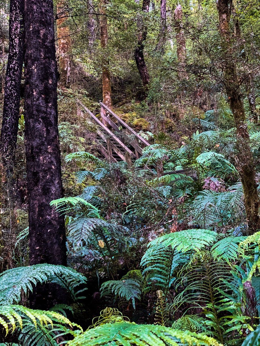 Image 3 of 7