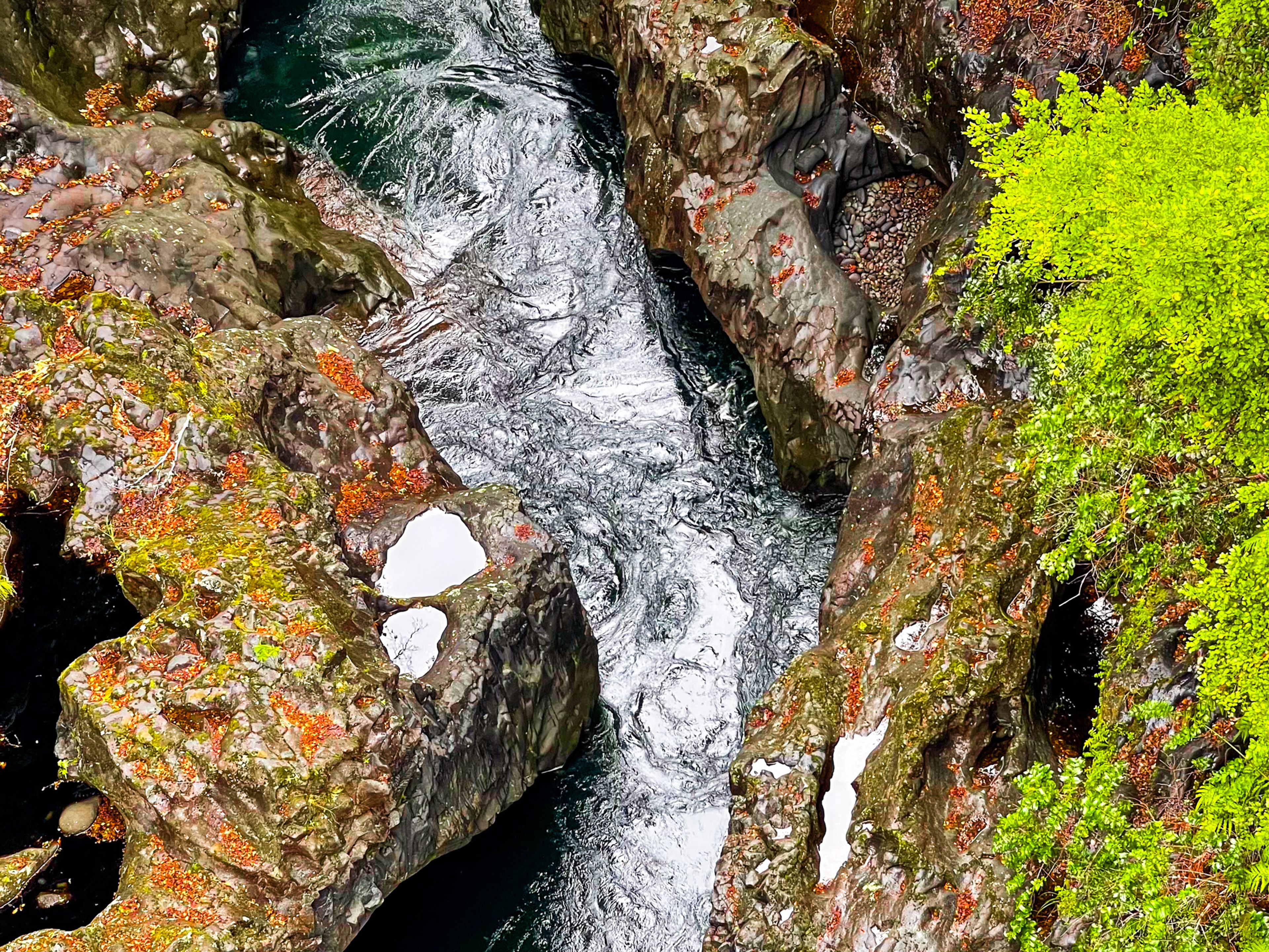 Image 8 of 10