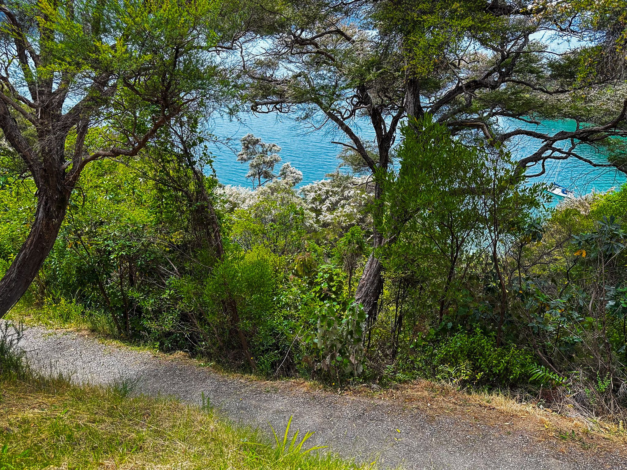 Governors Bay, Queen Charlotte Sound