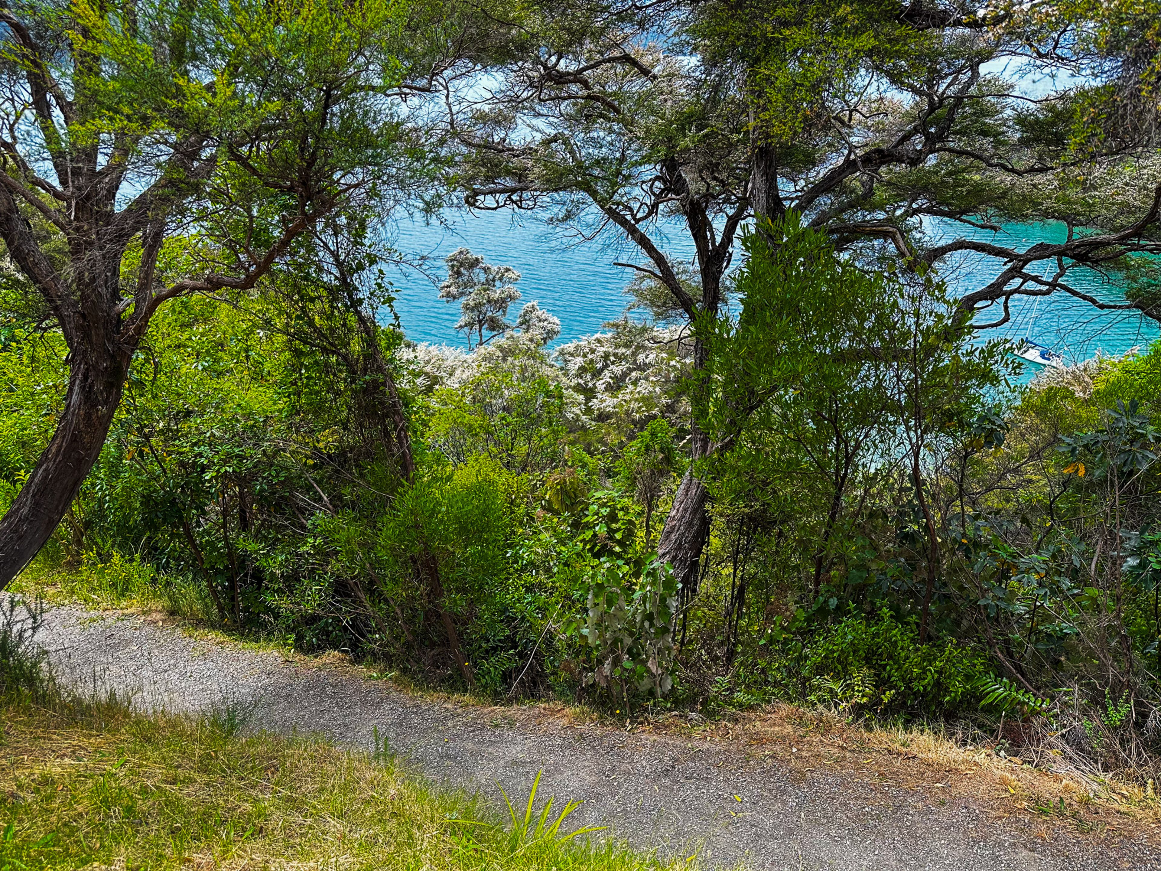 Governors Bay, Queen Charlotte Sound