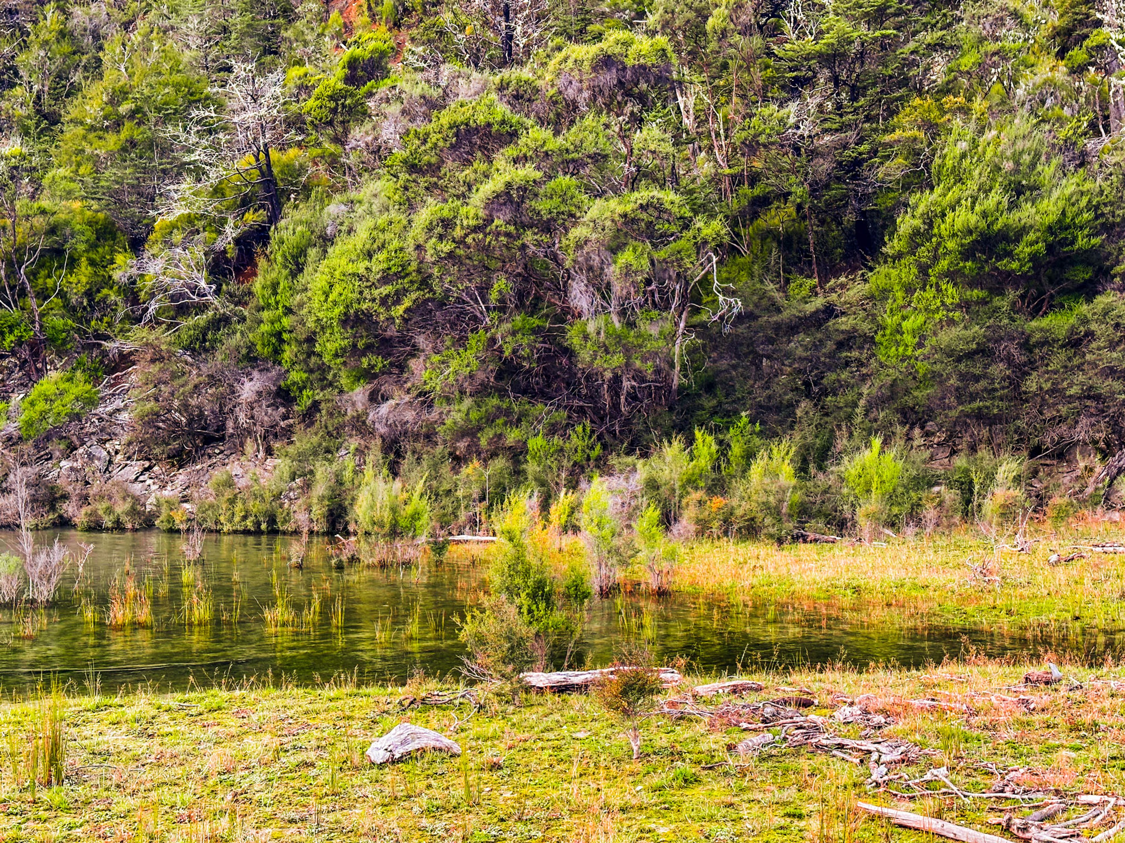 Image 7 of 10