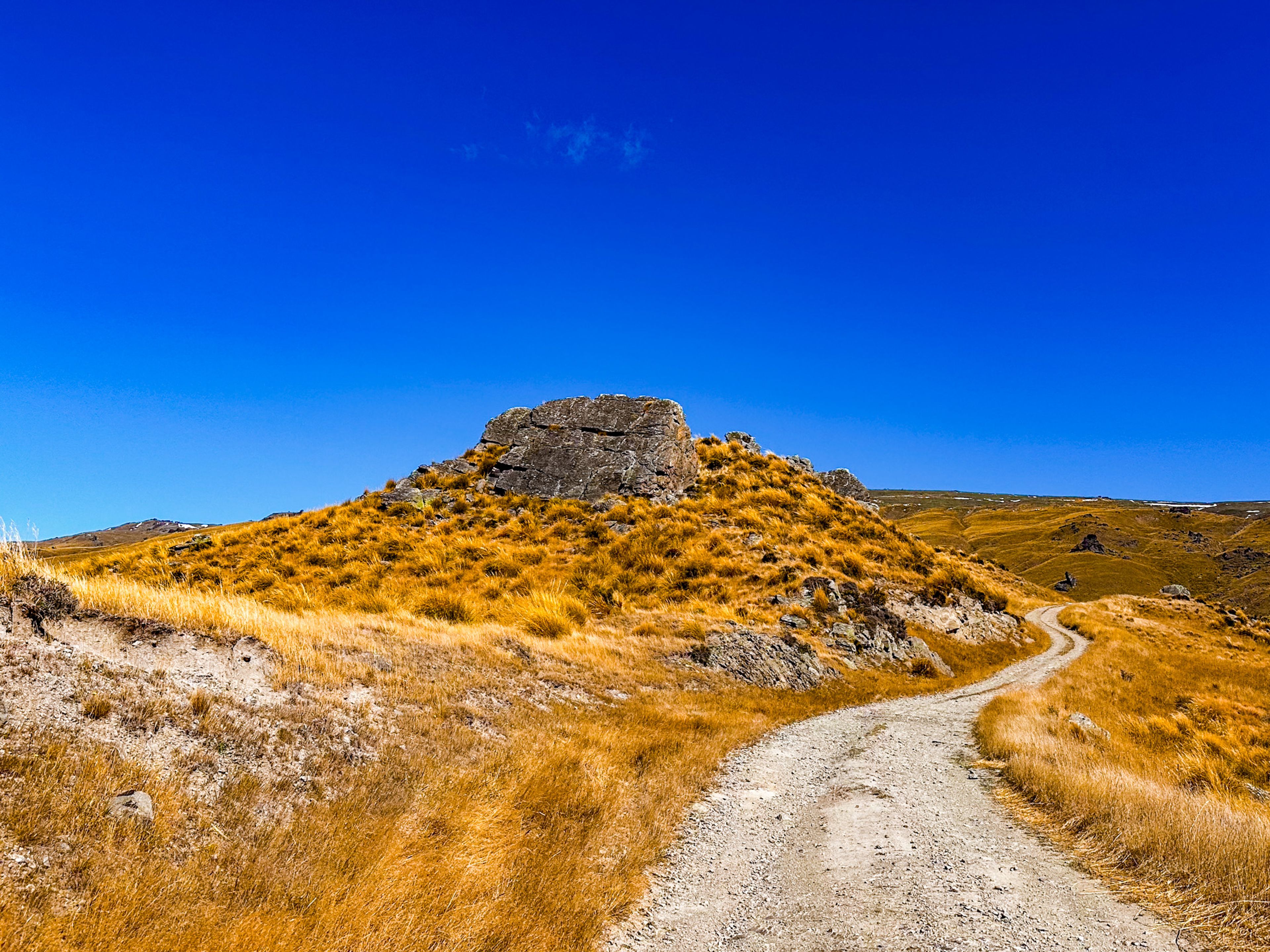 Obelisk / Kōpūwai Conservation Reserve