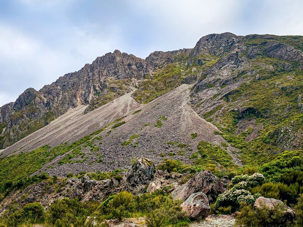 Image 8 of 8