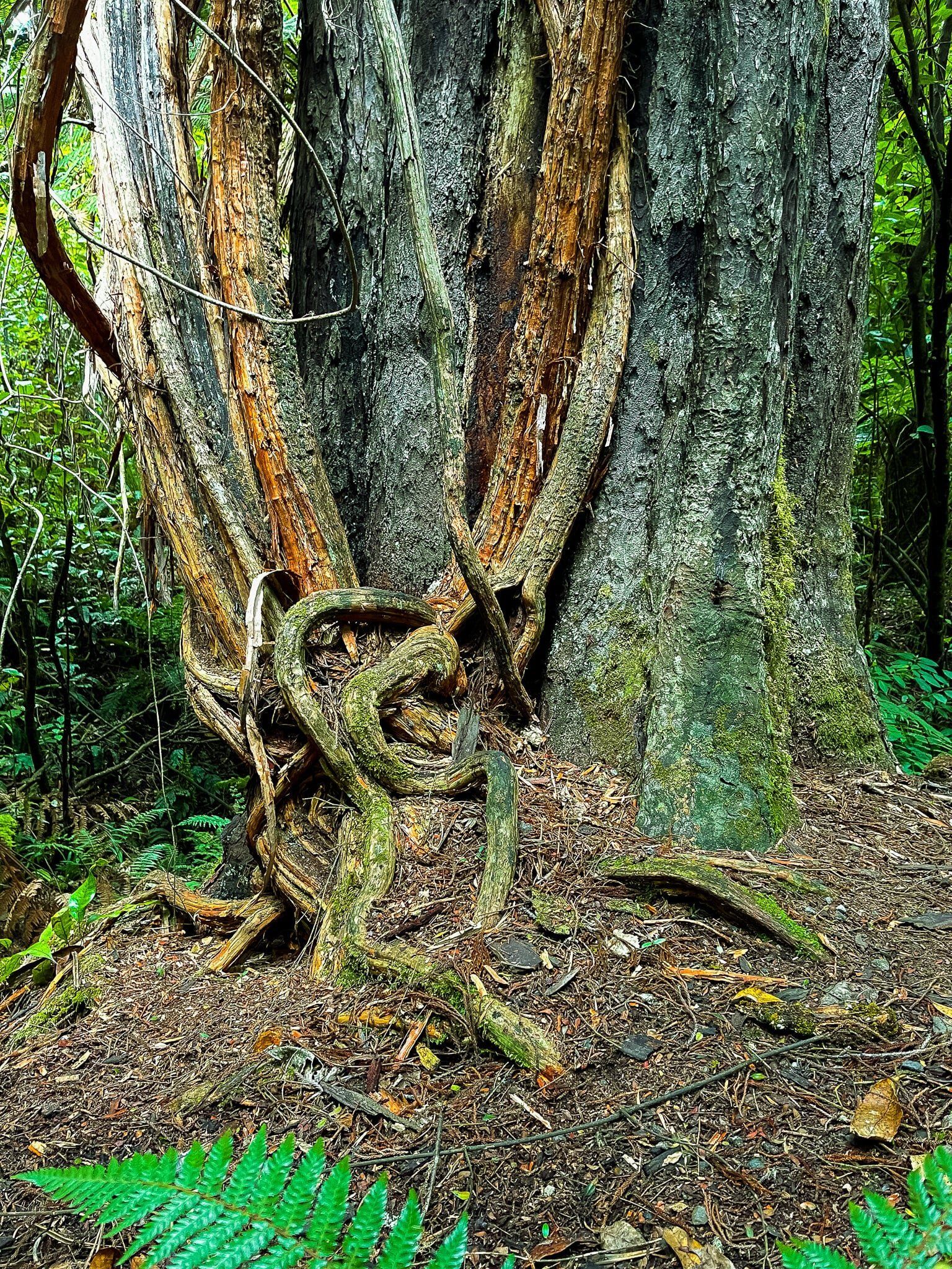Image 8 of 10