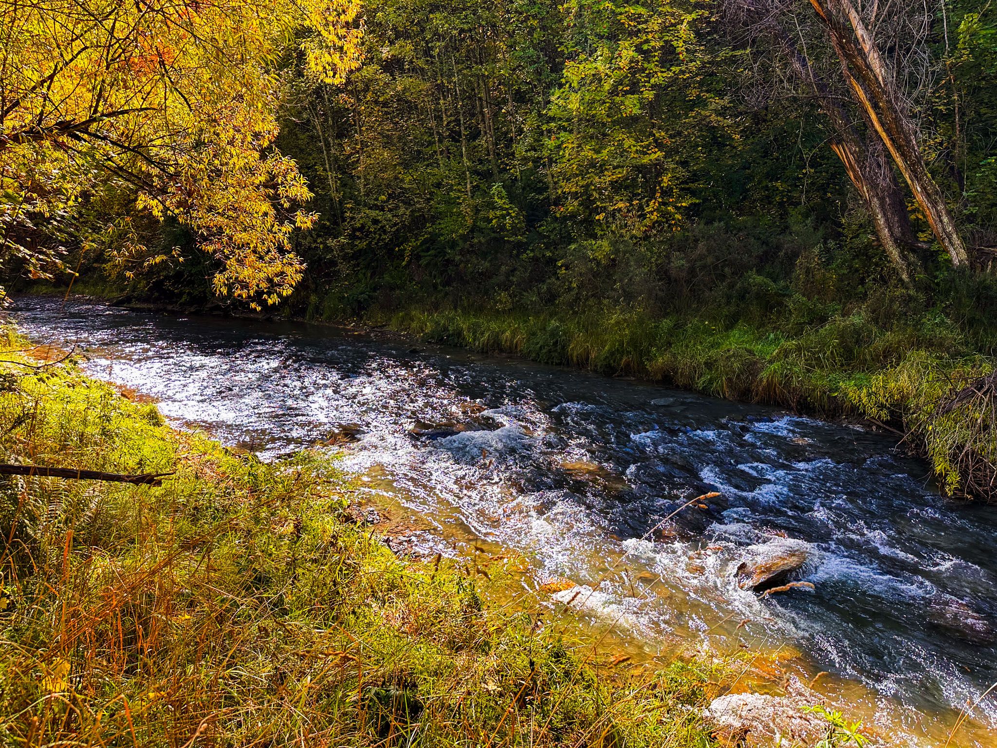 Arrow River Trail