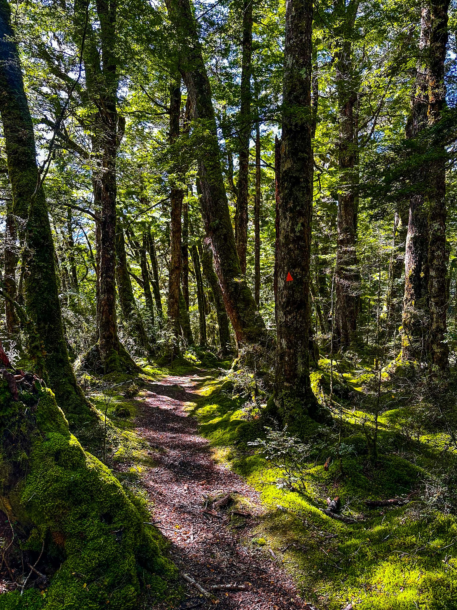 Image 8 of 10