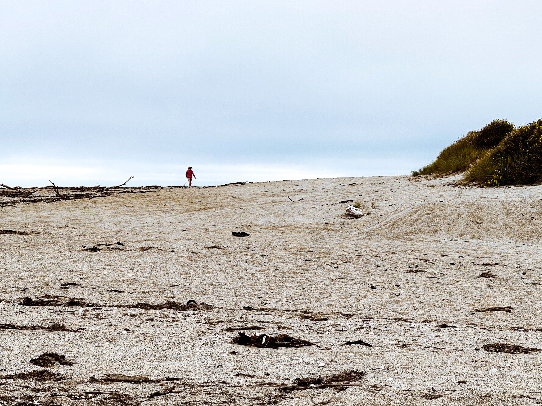 Image 7 of 10