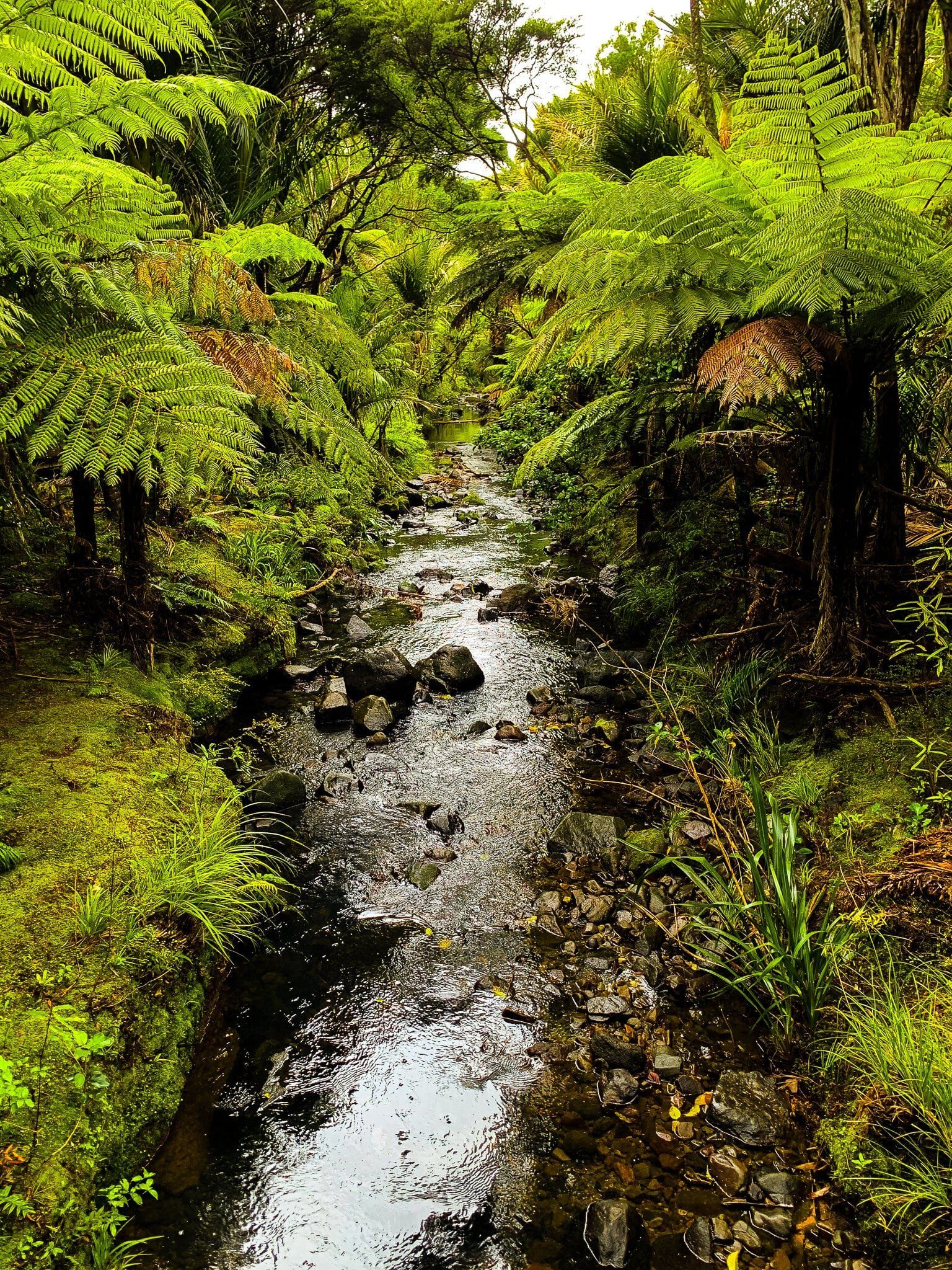 Image 8 of 10