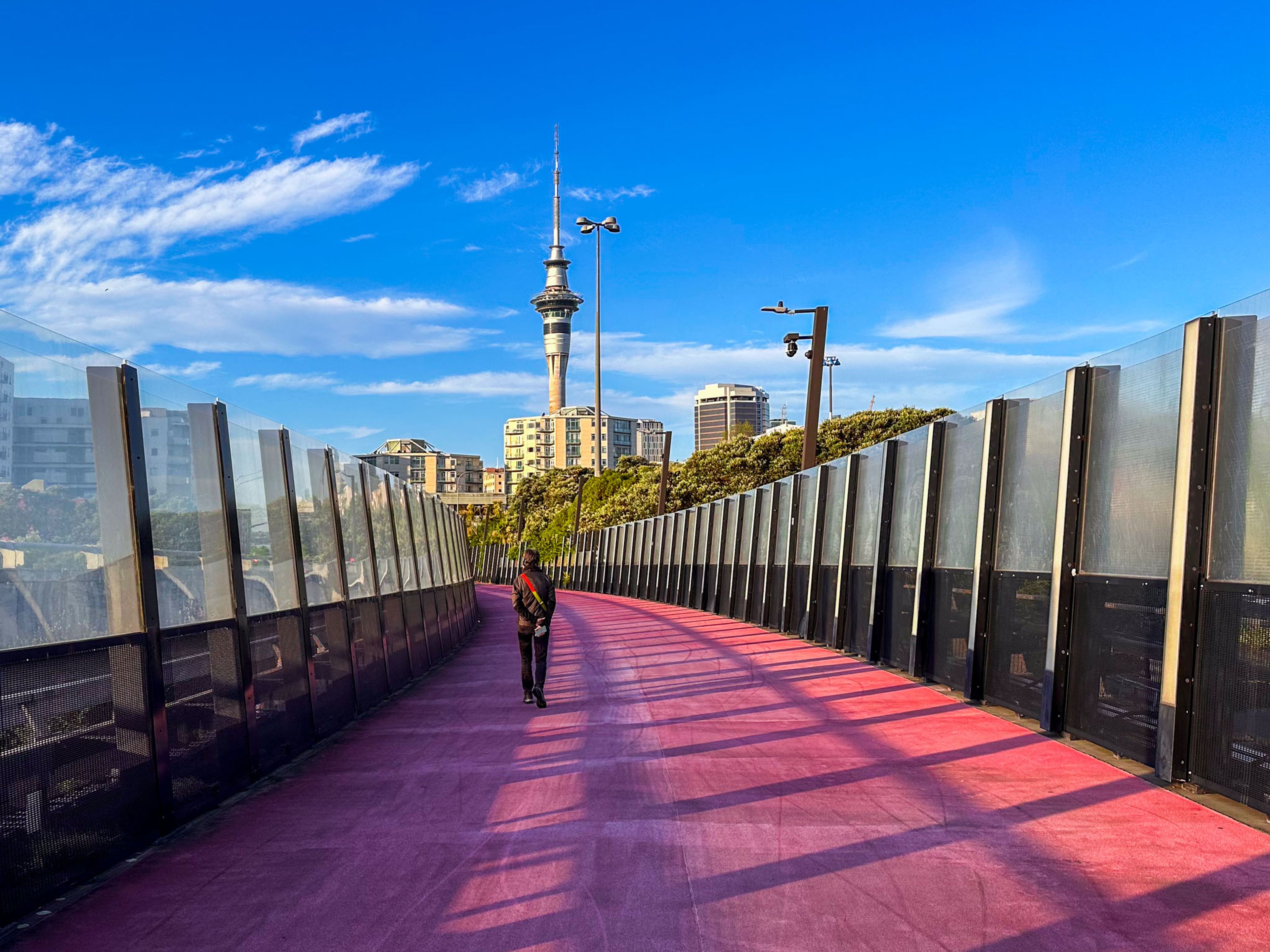 Lightpath Te Ara i Whiti 
