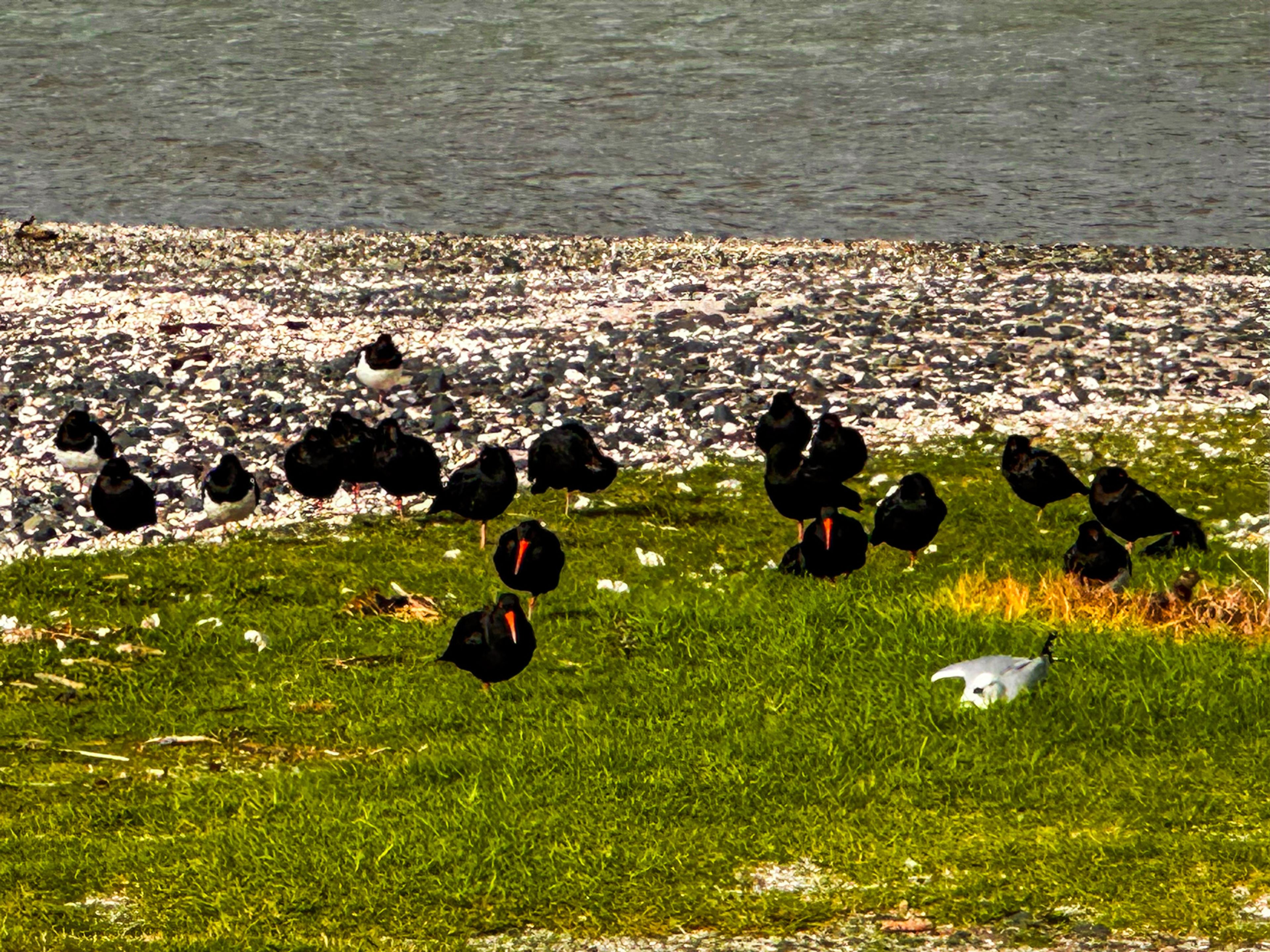 Image 4 of 10