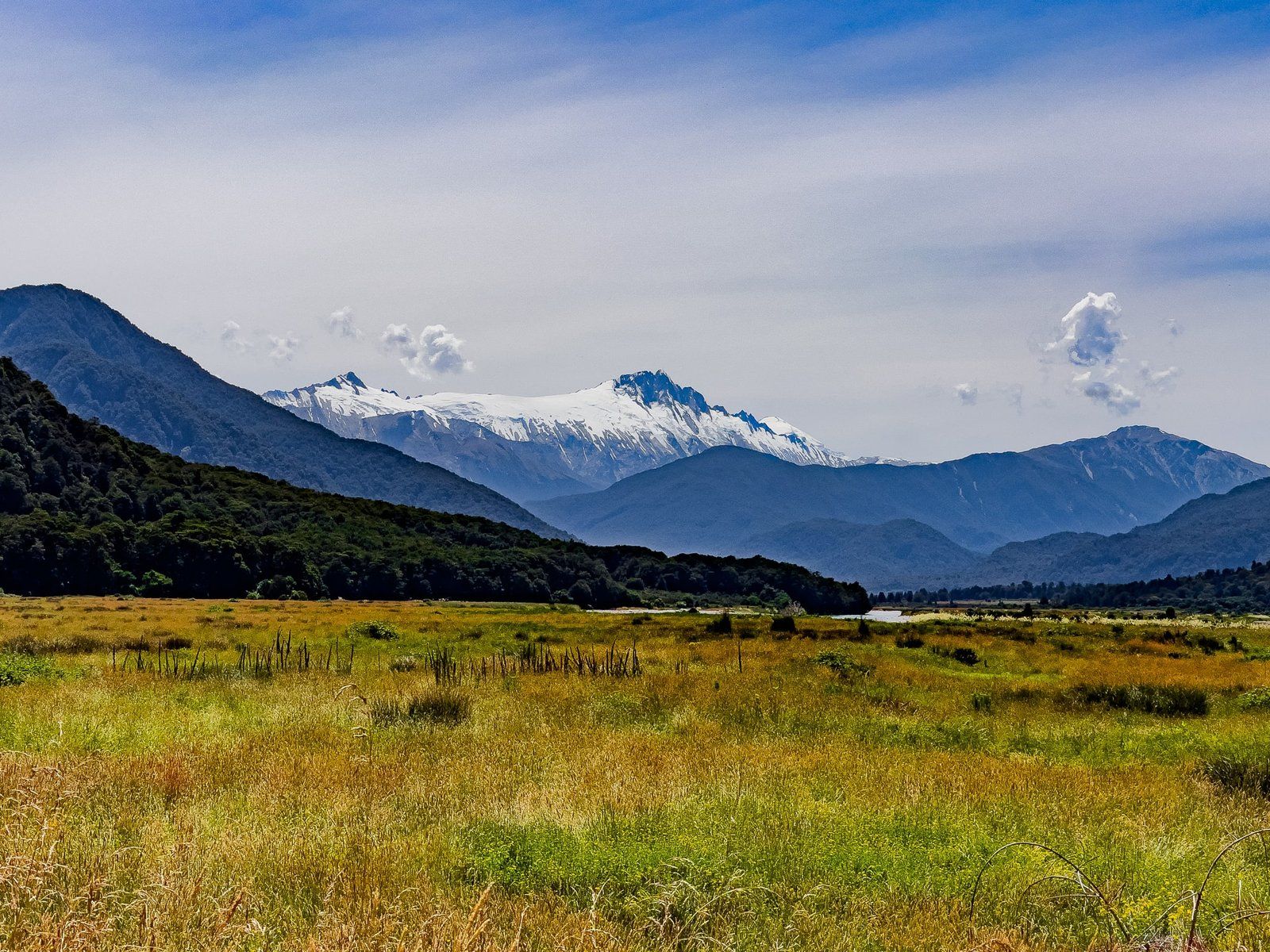 Image 6 of 9