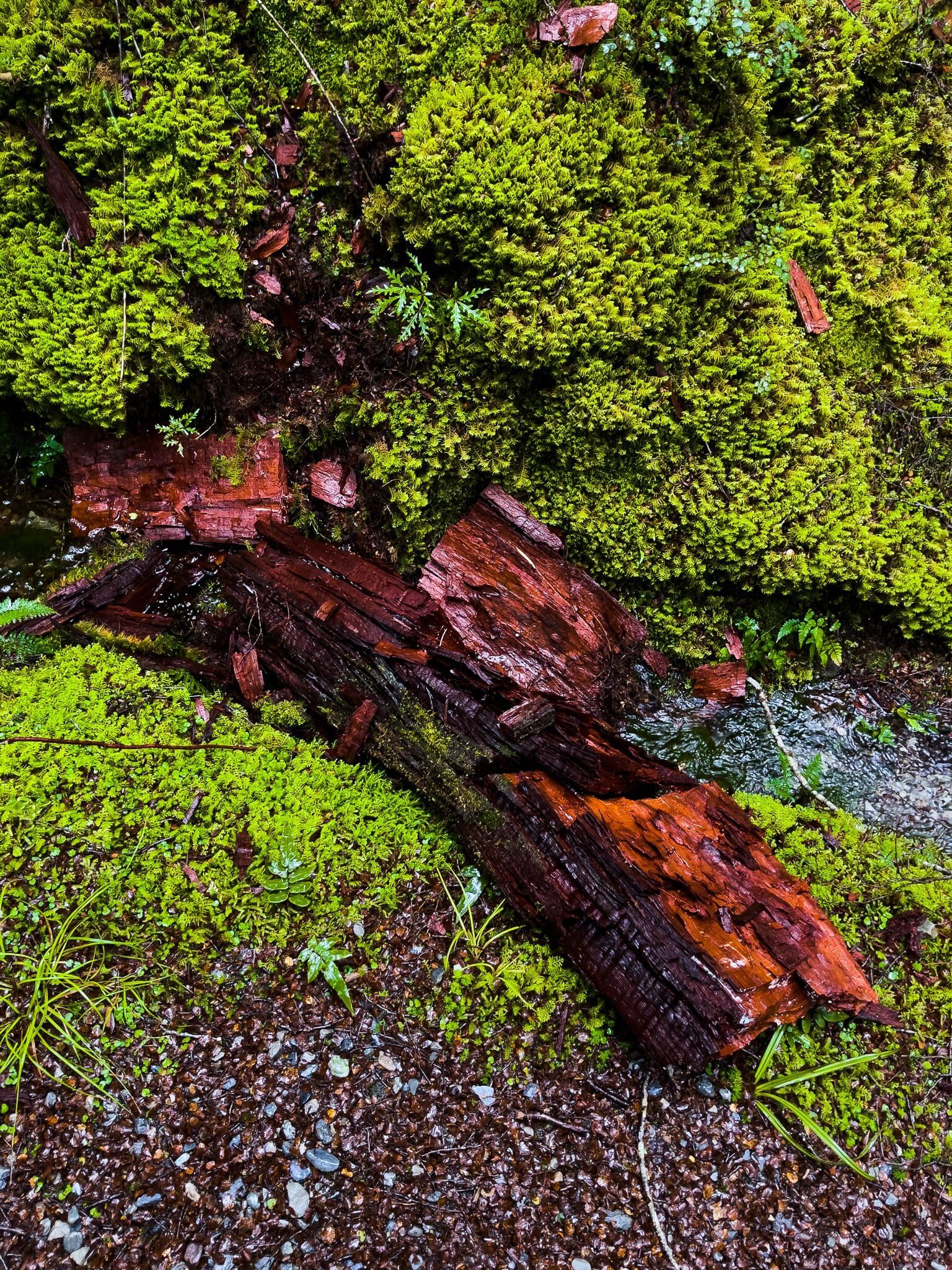 Image 8 of 9