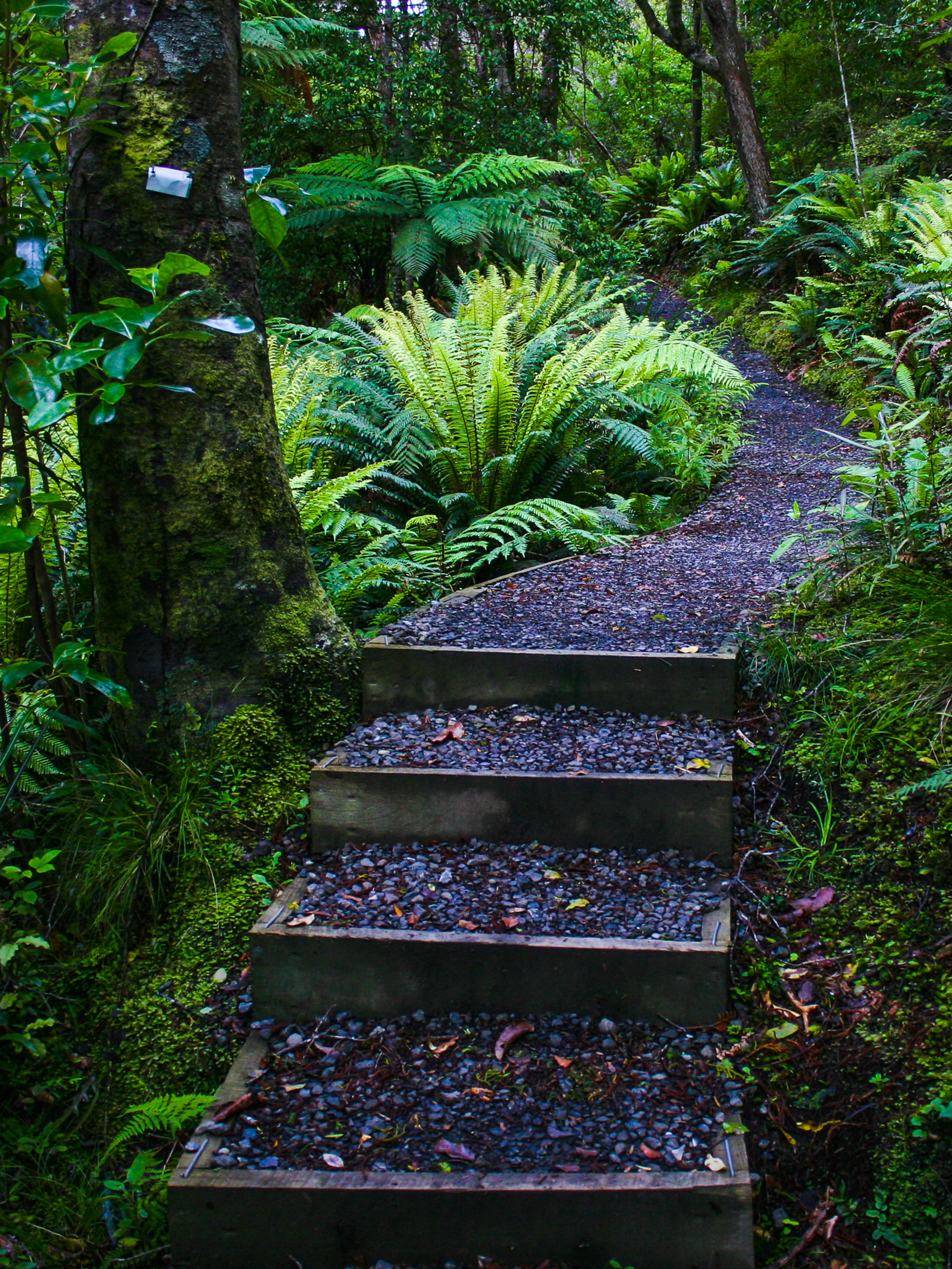 Image 2 of 10