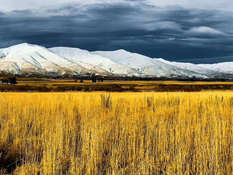 Danseys Pass Road - Trip Ideas