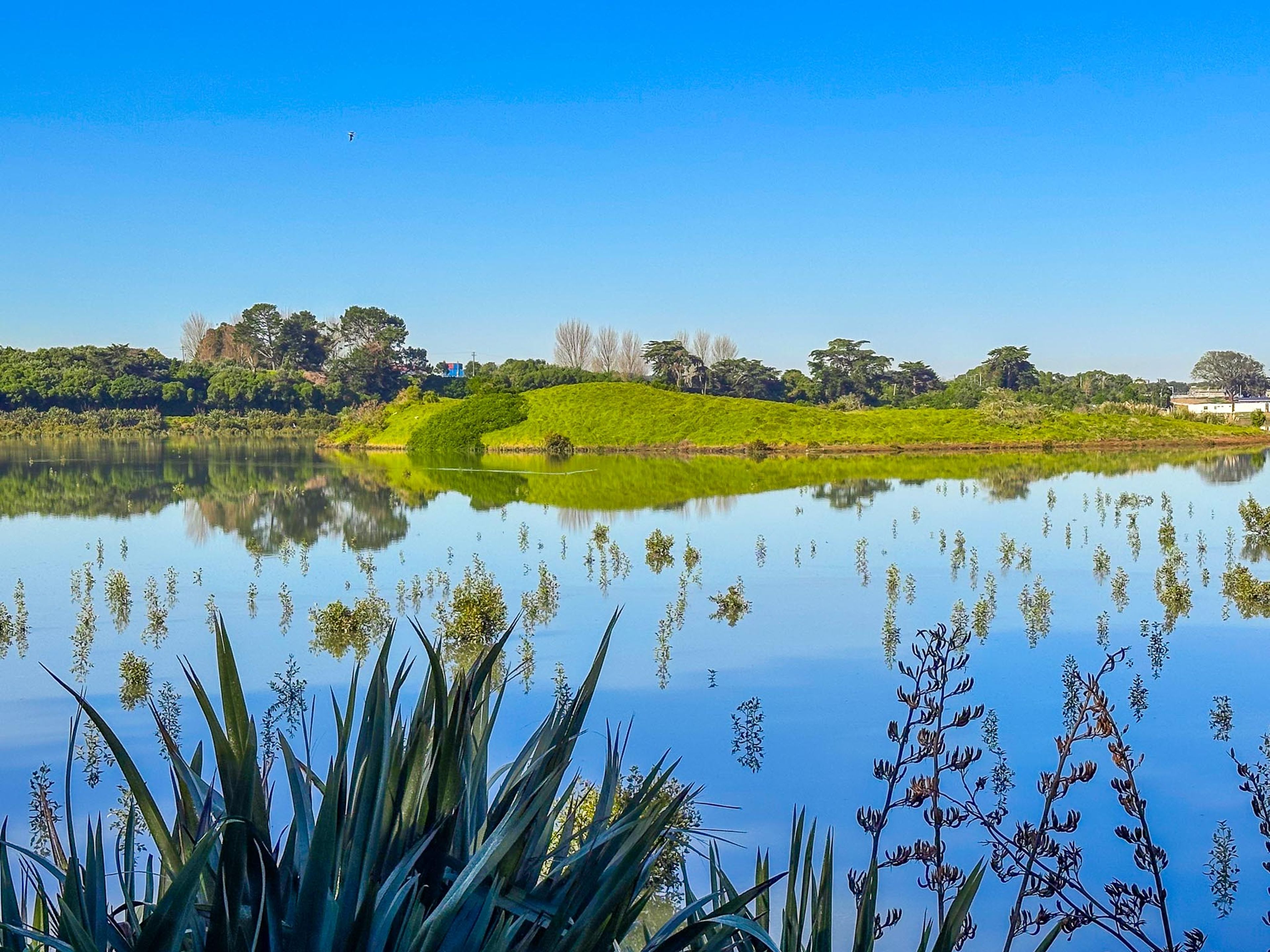 Māngere Lagoon