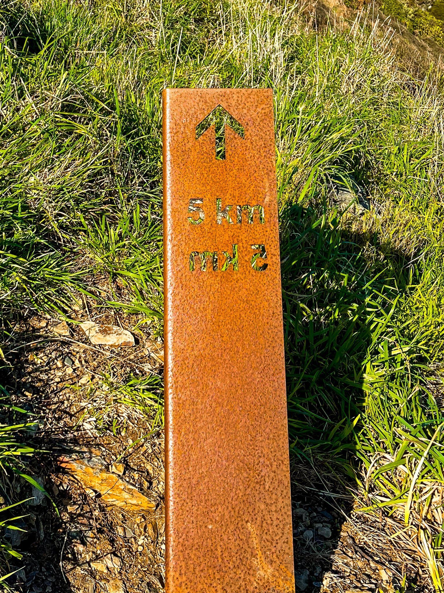 Image 2 of 12