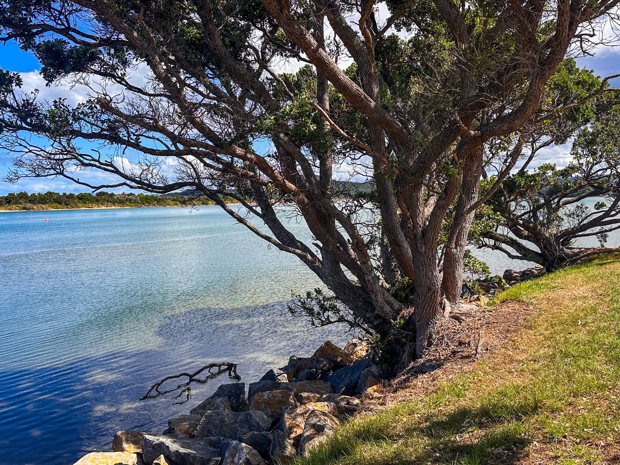 Image 5 of 10