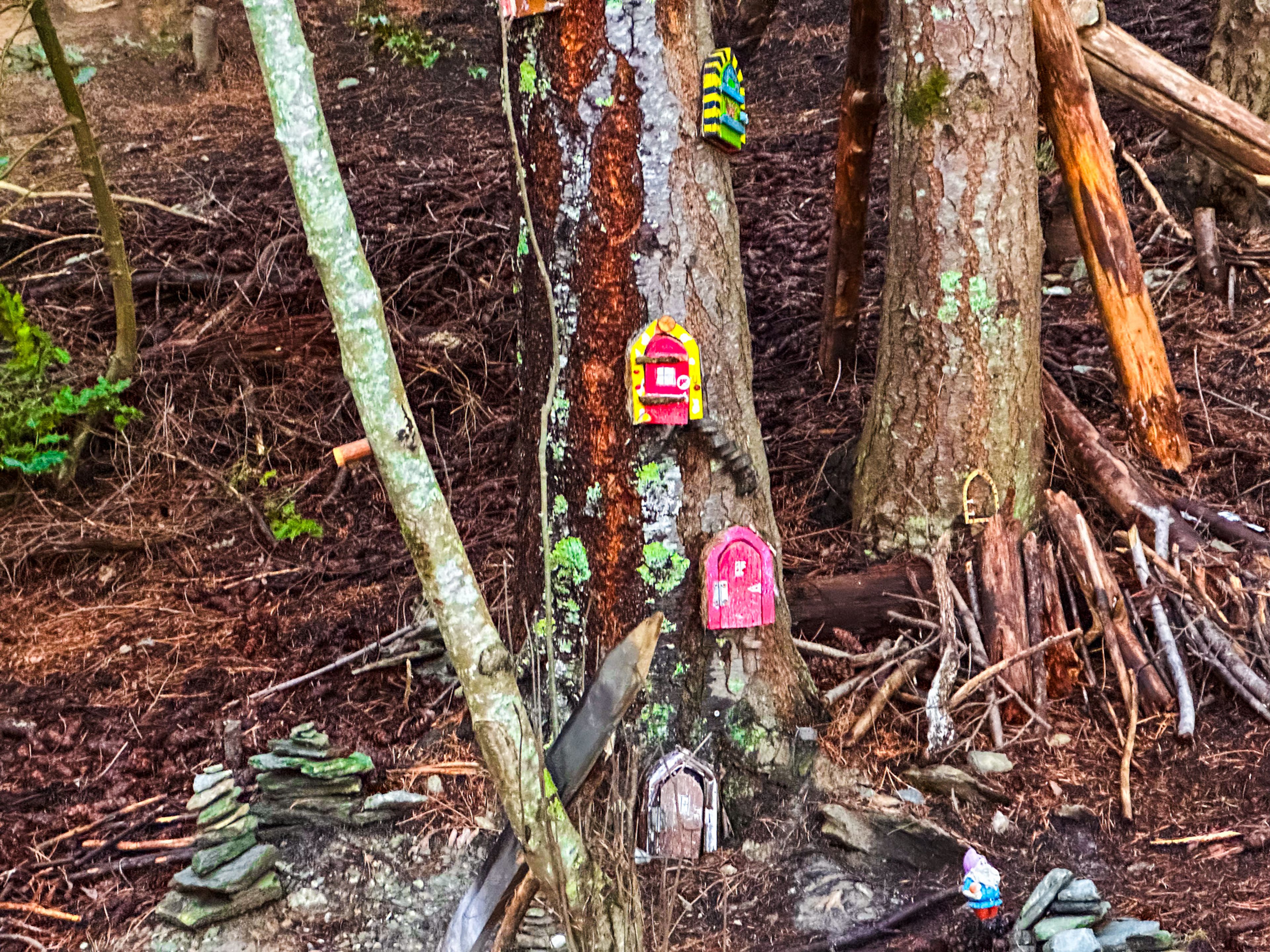 Image 4 of 10