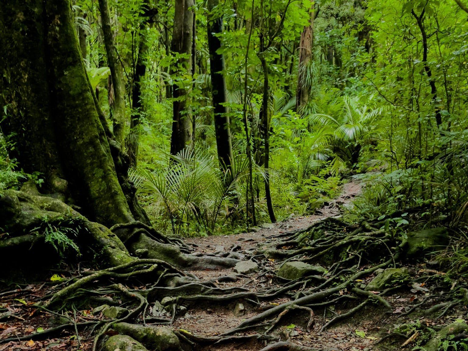 Hemi Matenga Reserve