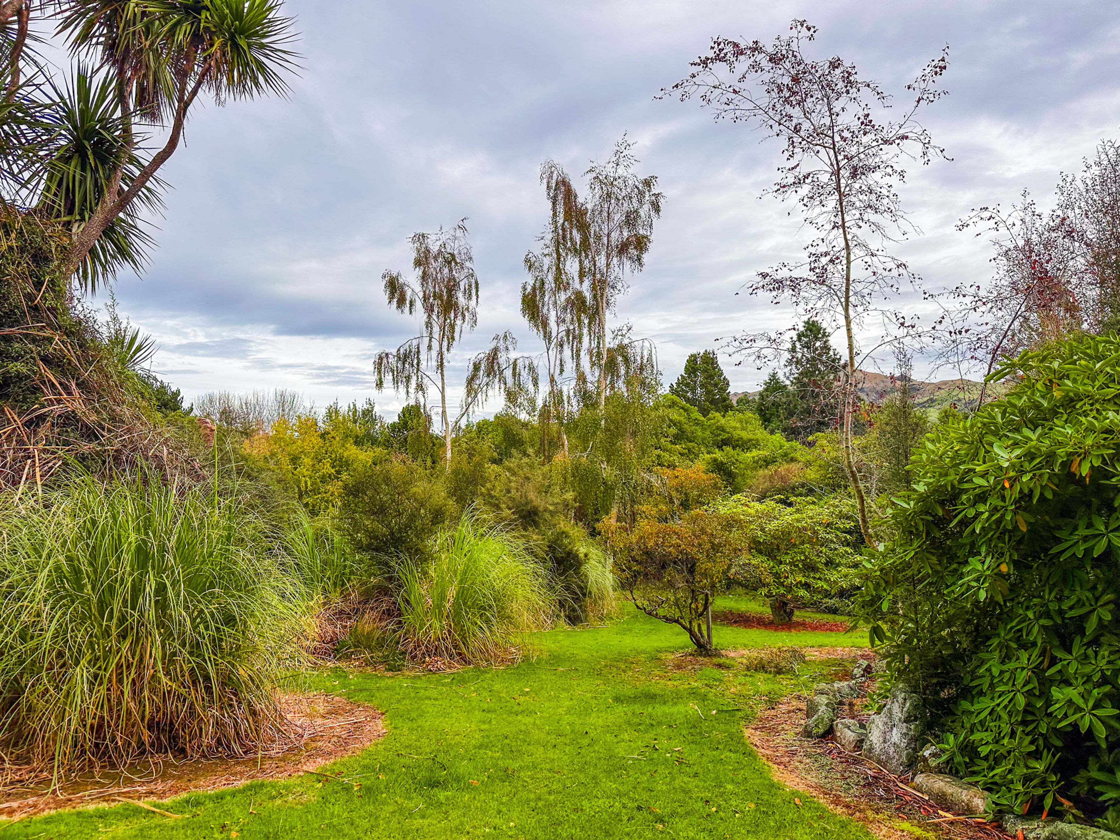Image 8 of 10
