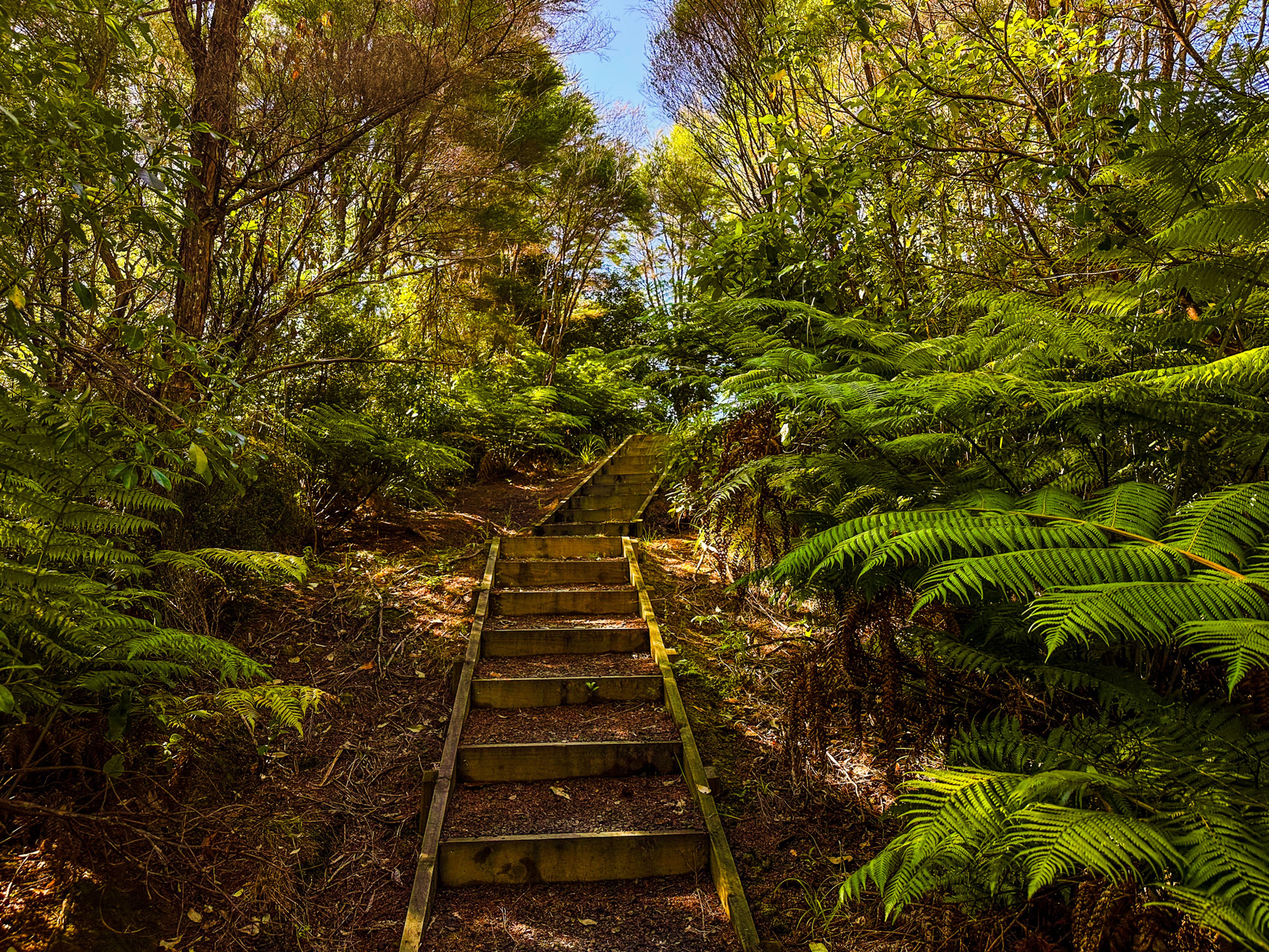 Image 8 of 10