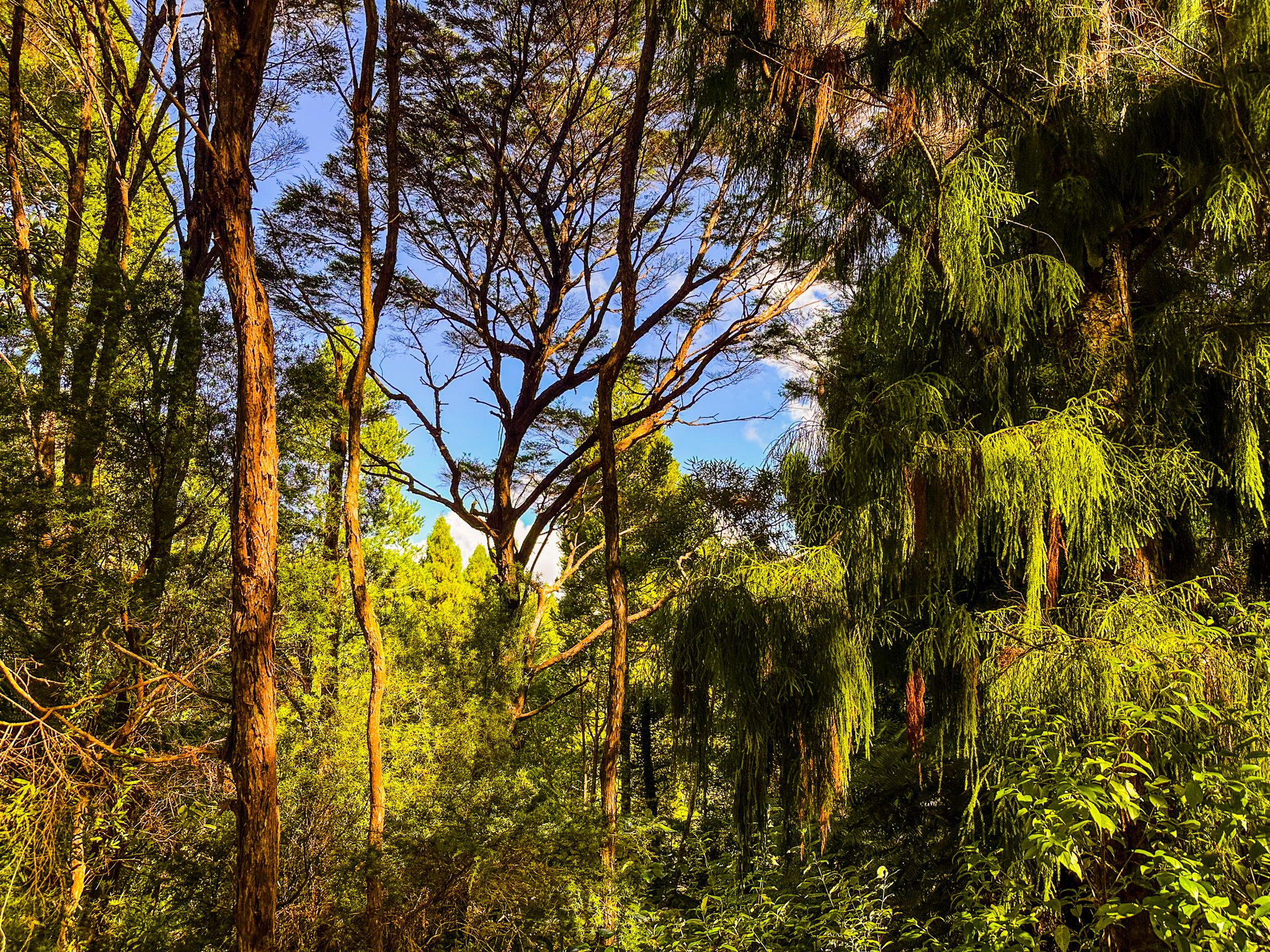 Image 9 of 10