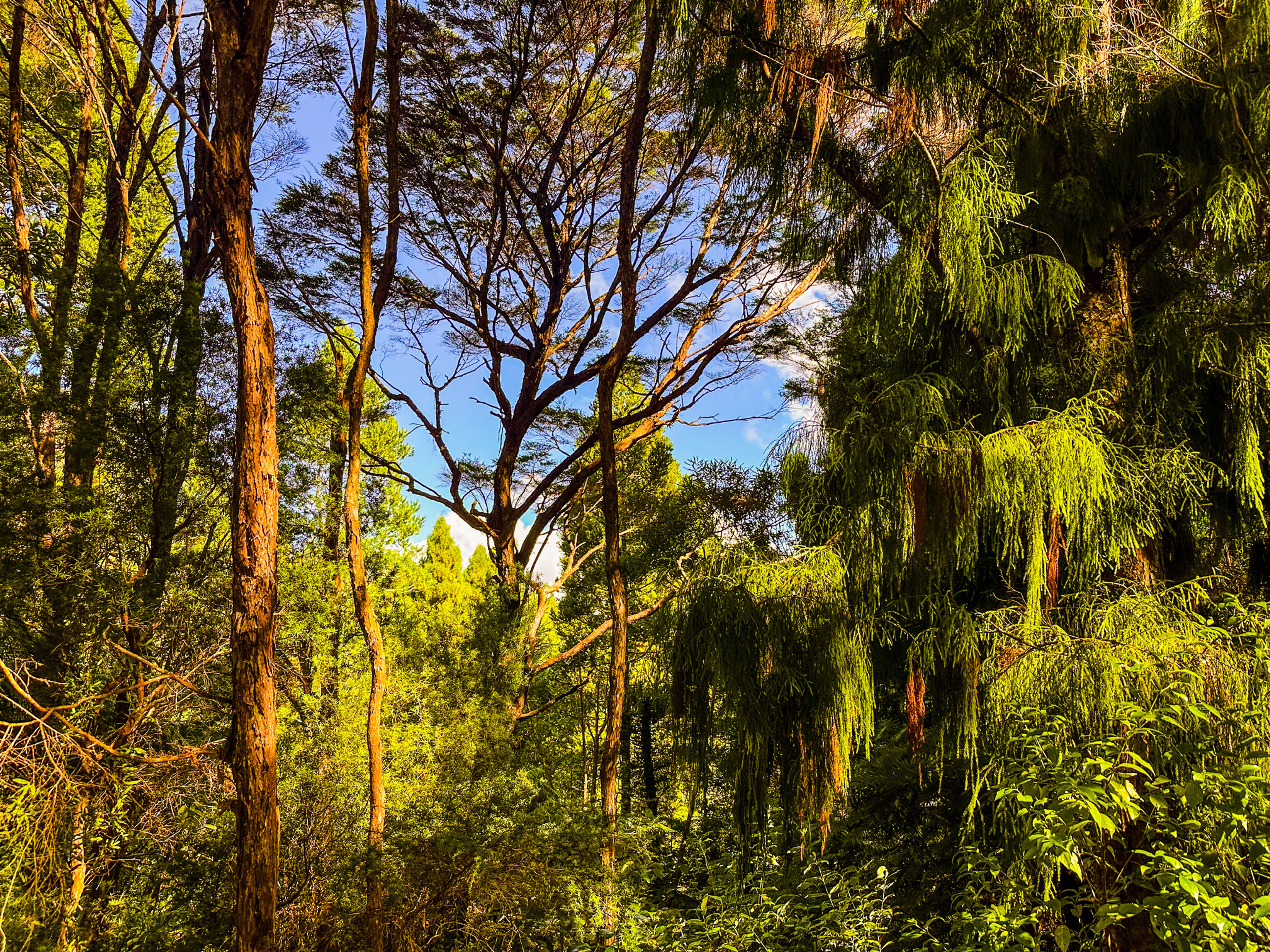 Image 9 of 10