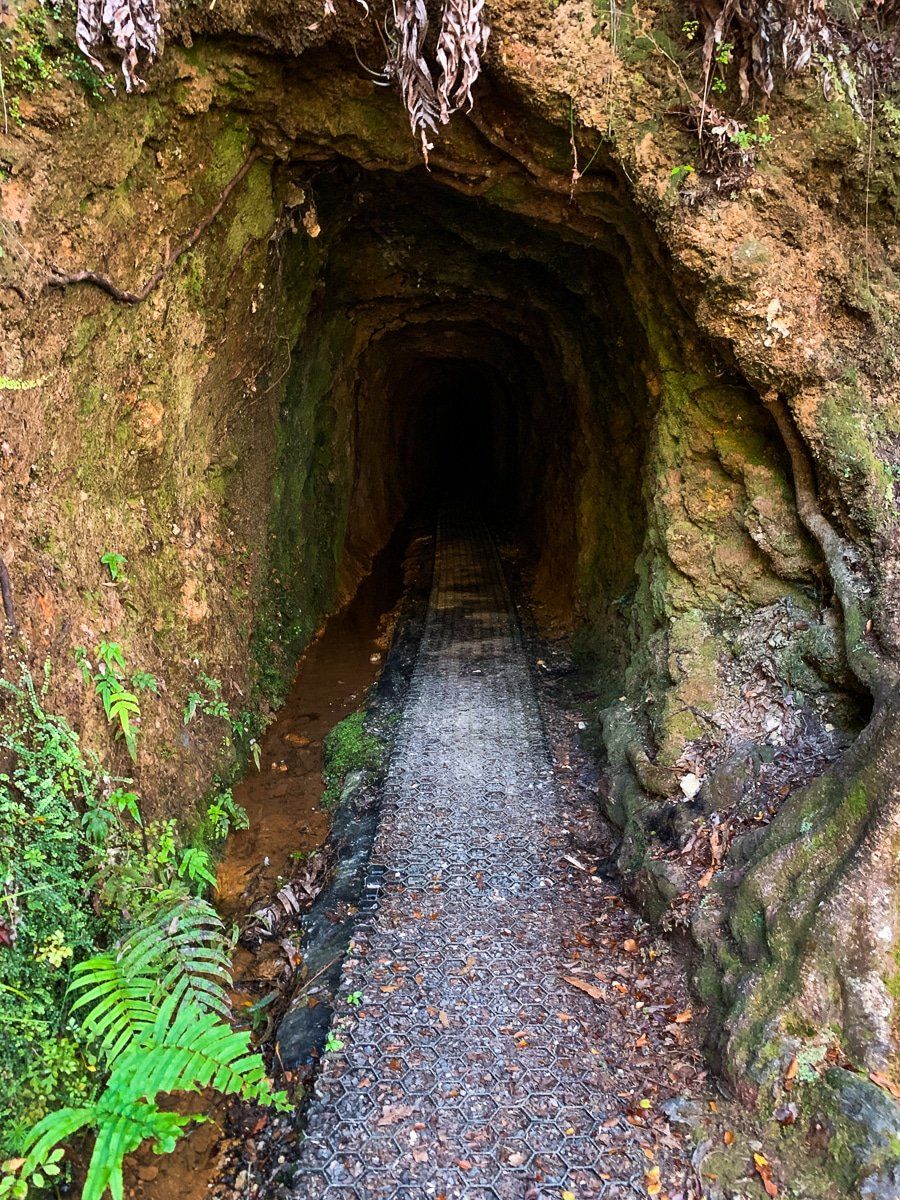 Image 5 of 6