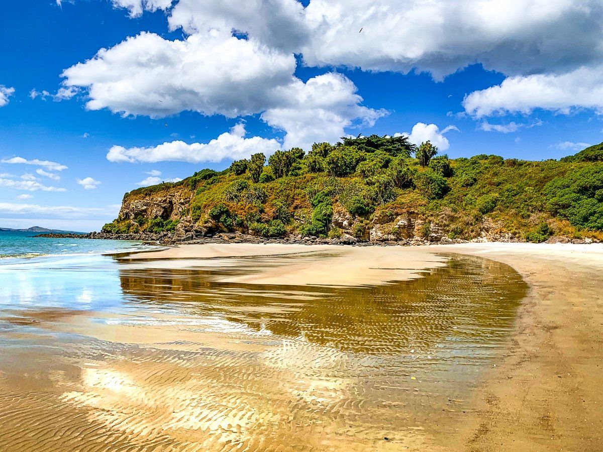 Doctors Point | Dunedin - New Zealand Trip Ideas