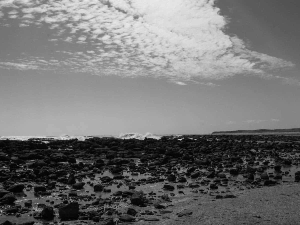 Image 5 of 7