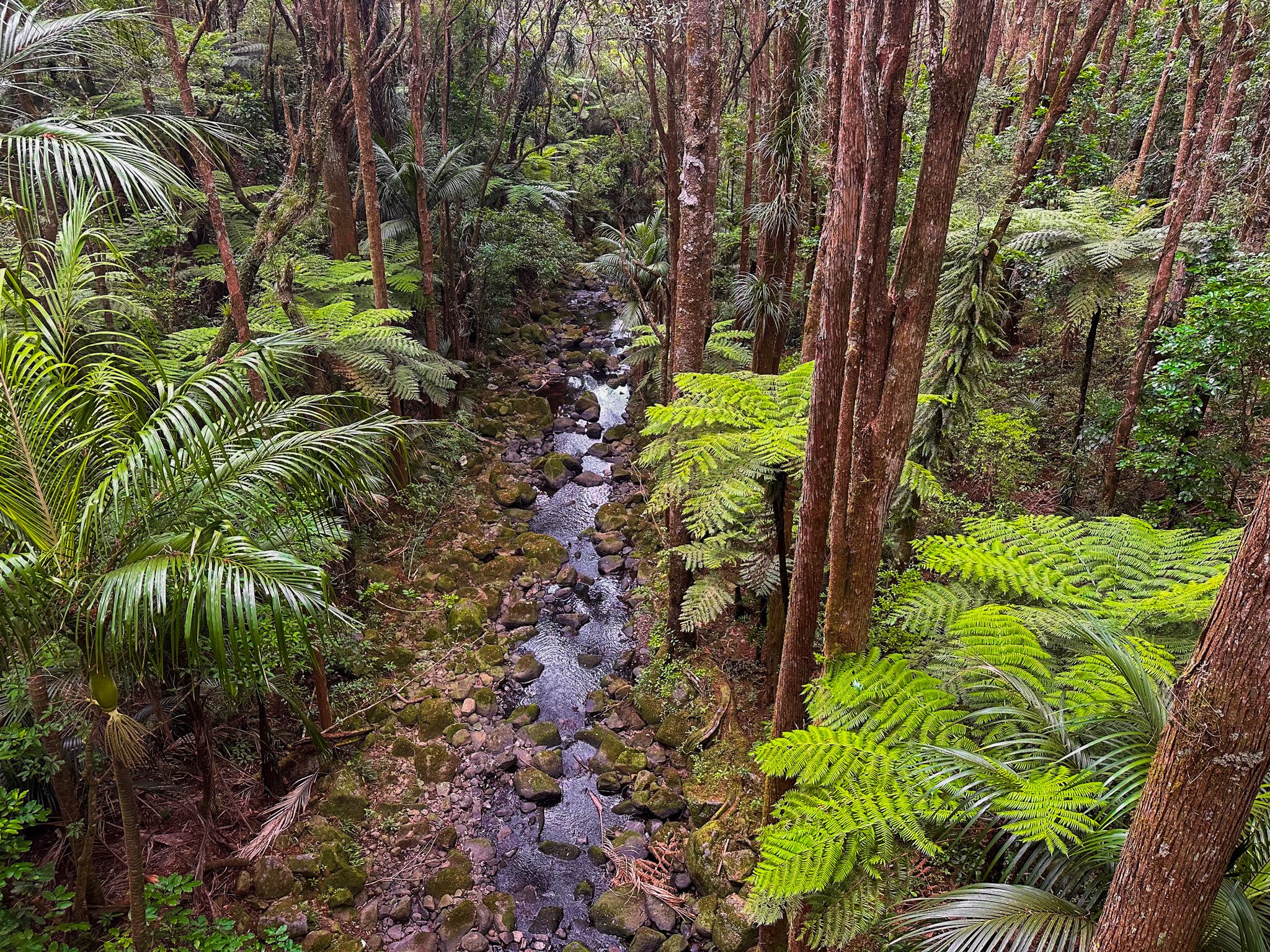 Image 9 of 10