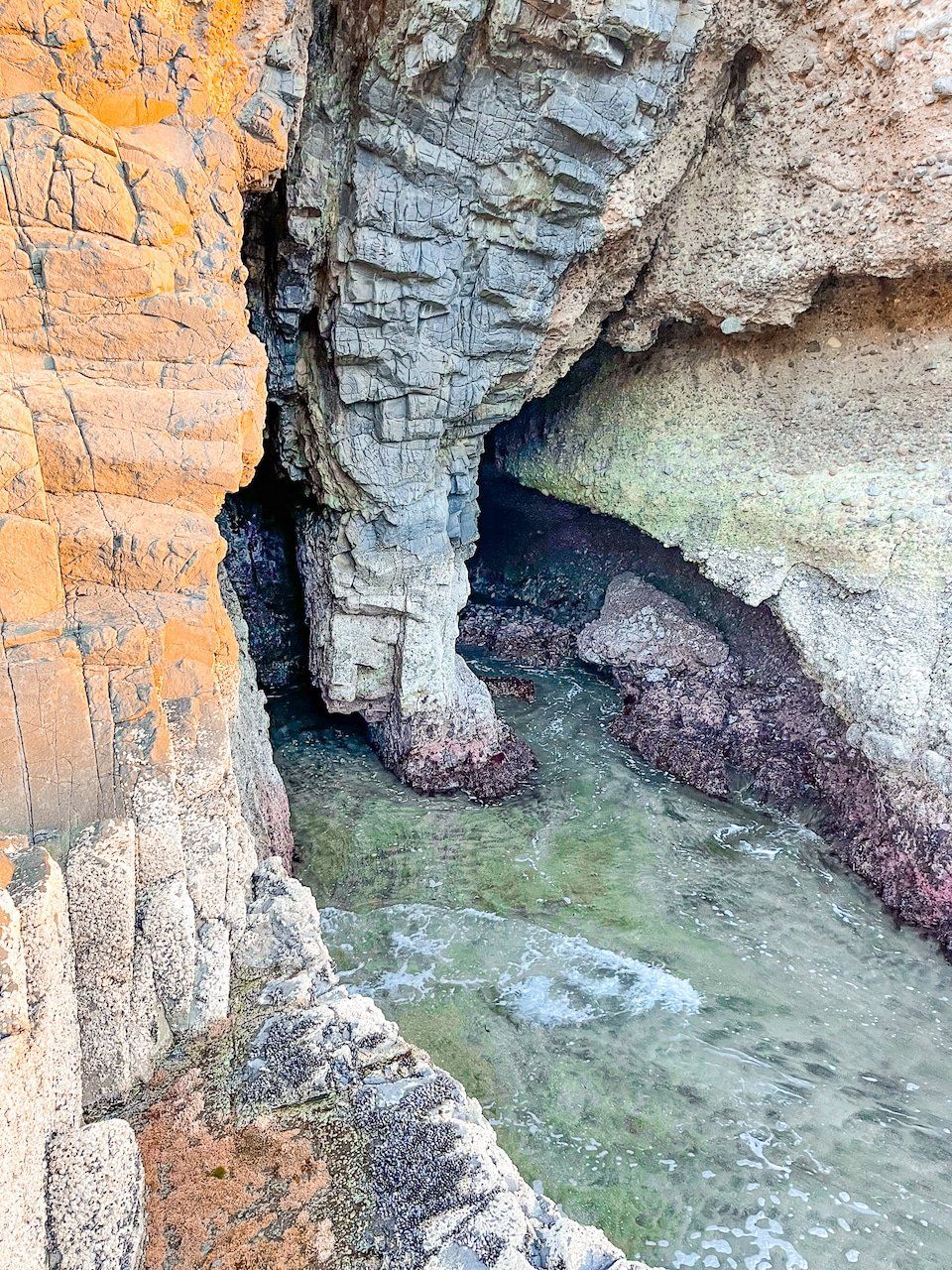 Image 9 of 9