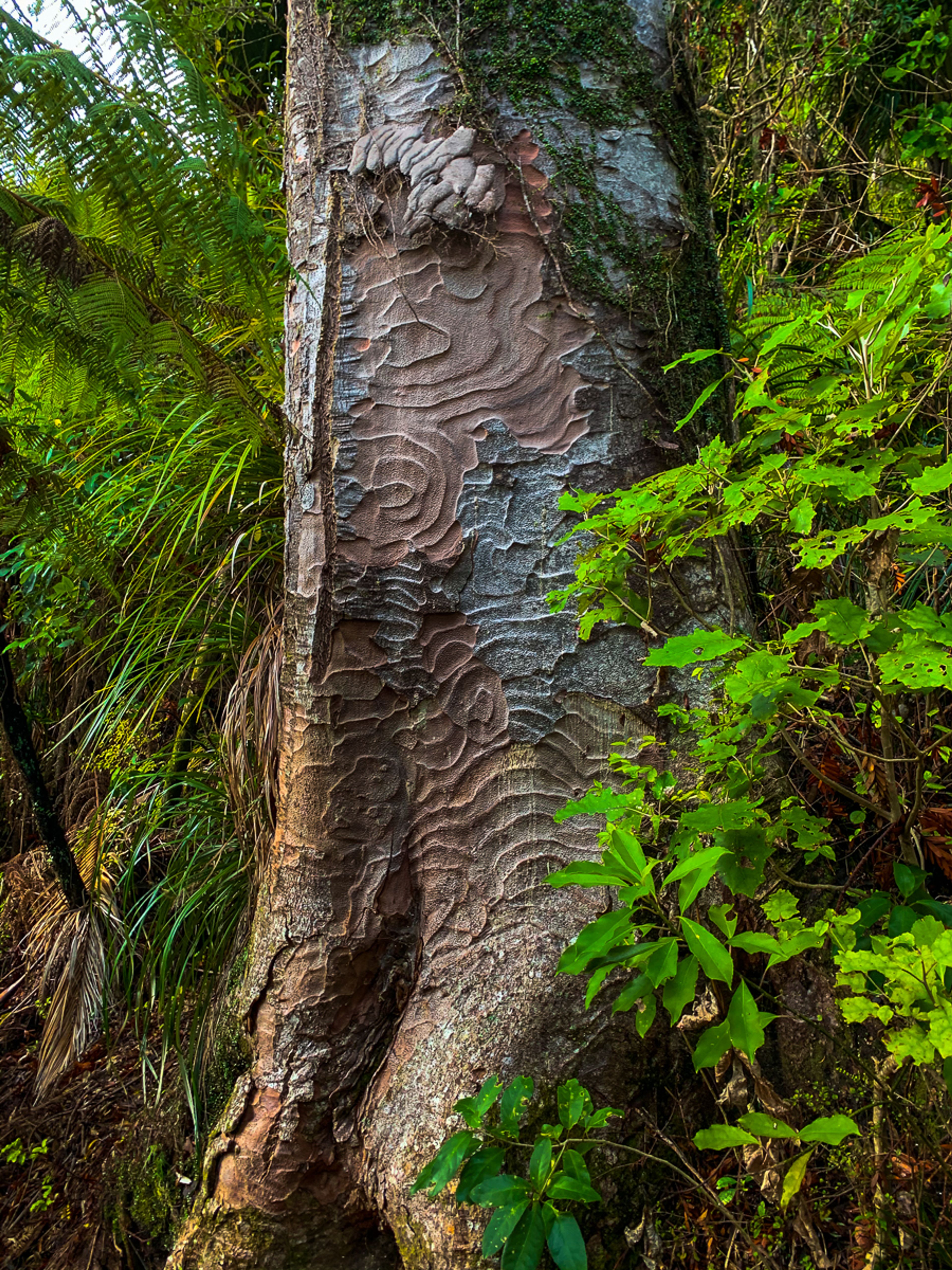 Image 8 of 10