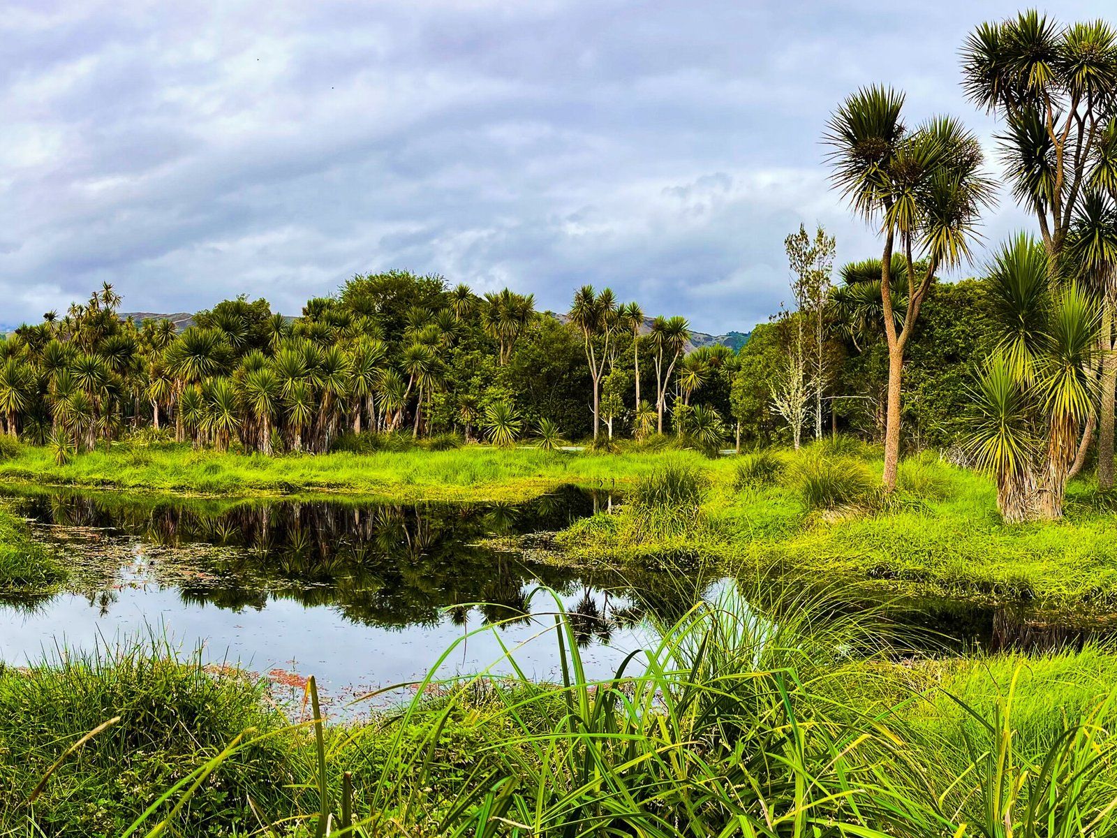 Waikanae River Track